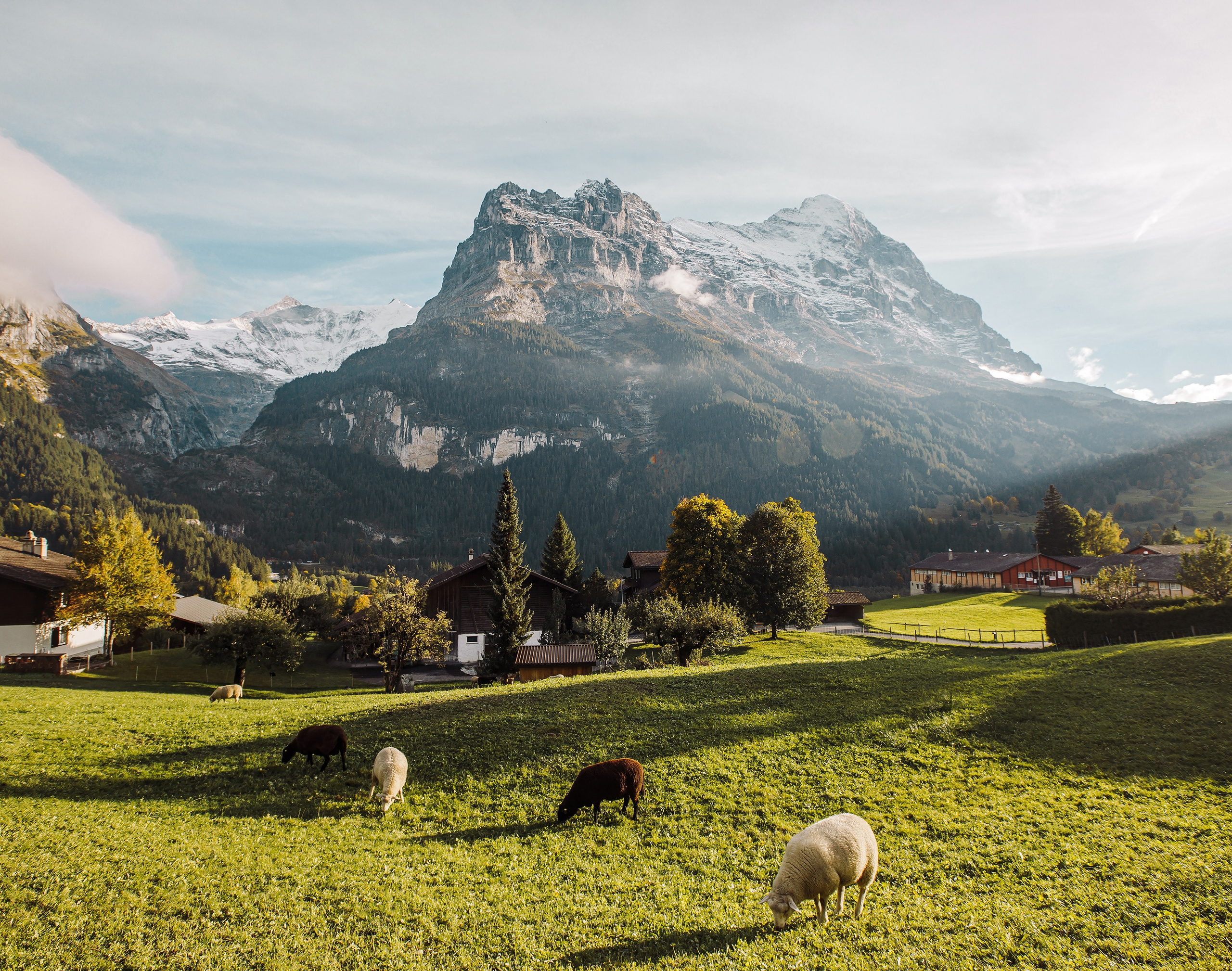 Autumn morning in Grindelwald, Switzerland, with panoramic views of the dramatic Swiss Alps and golden mountain landscapes.