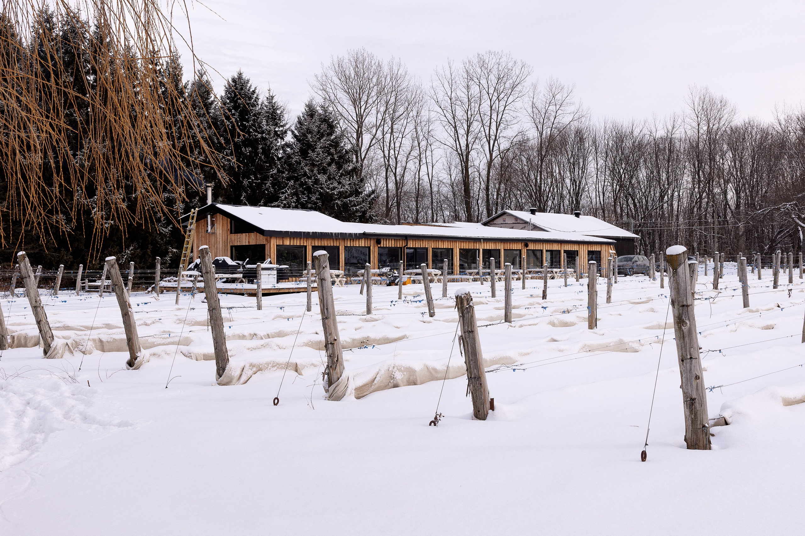 Vignoble et Domaine Beauchemin / Edition January 2025. Je suis photographe portraitiste et je réalise des portraits à toutes les étapes de votre vie! Bienvenue dans mon studio à Westmount, Qc
