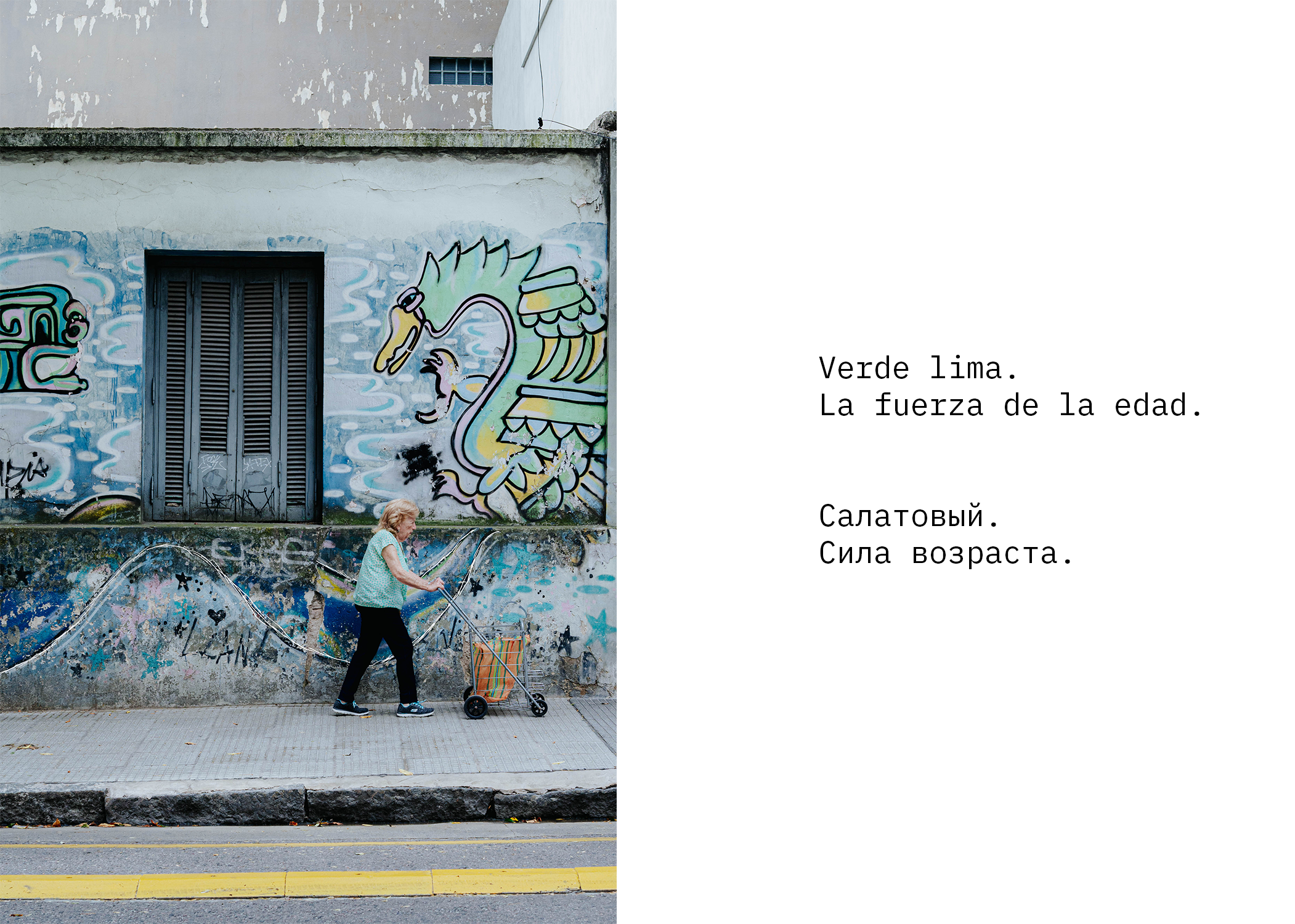 Perla. Los colores. Photographer @elmirkami in the city of Buenos Aires