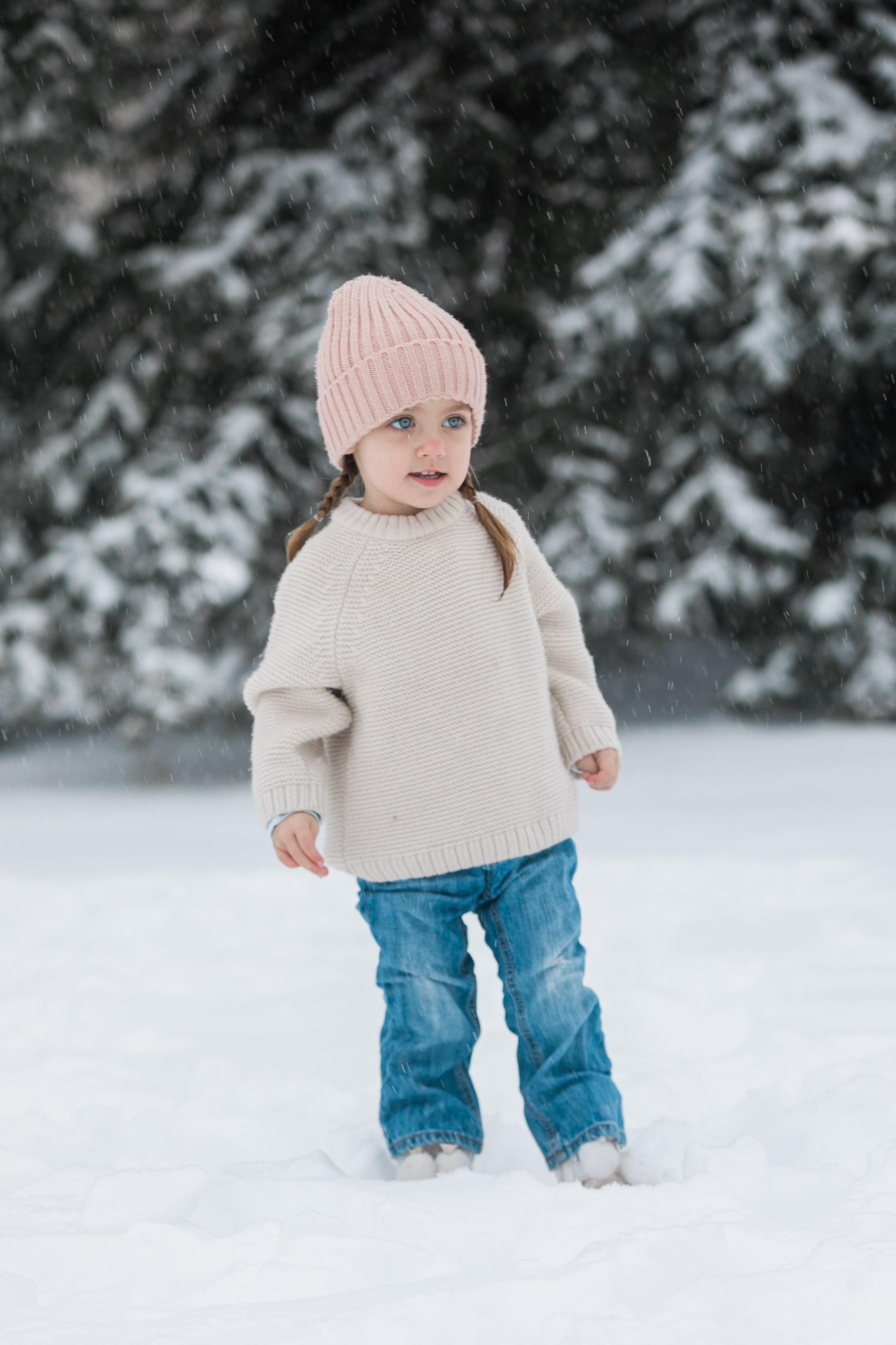 Zacher Winter Family Photos. Fotografía accesible en Calgary