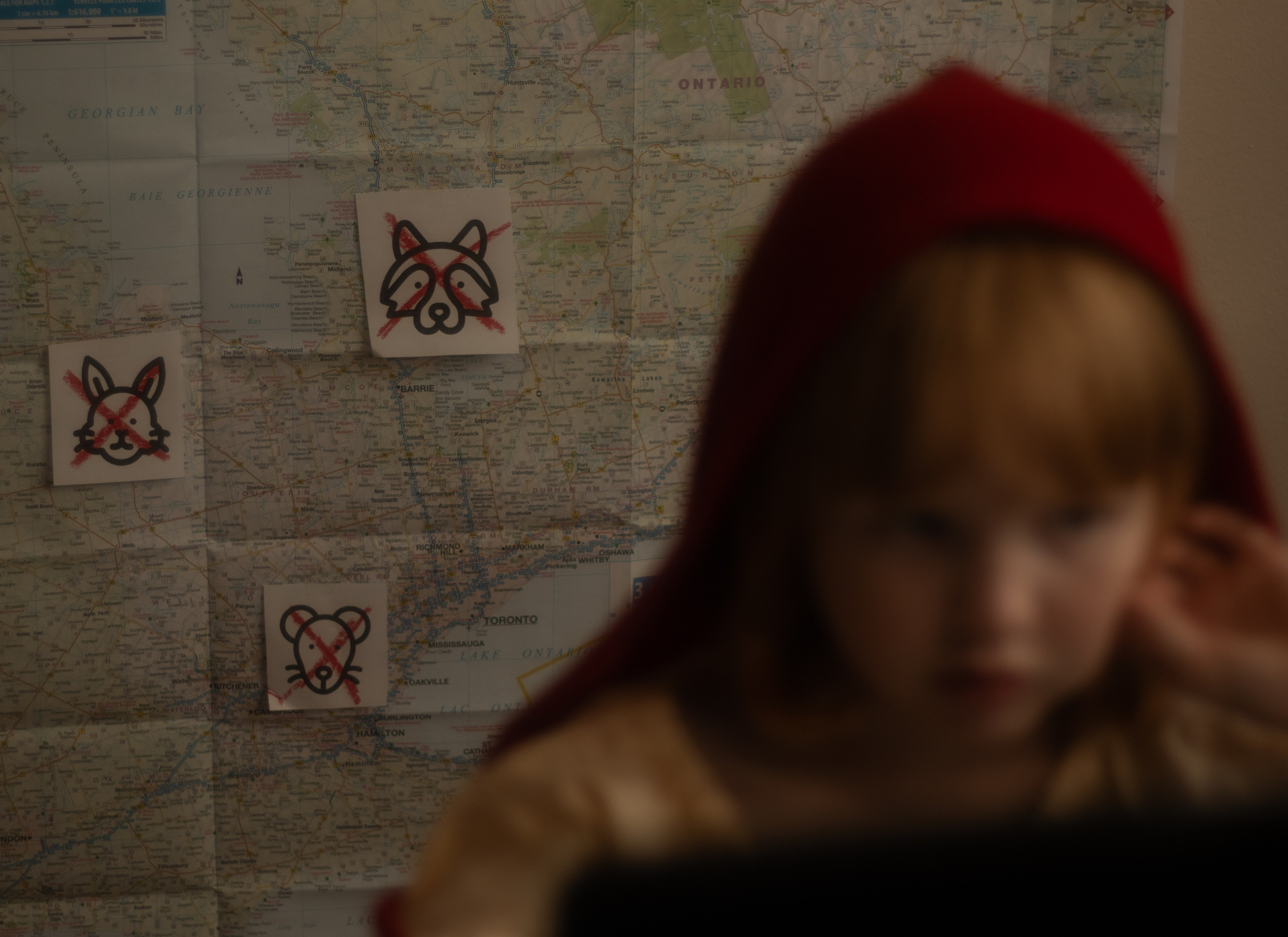 New Little Red Riding Hood. Toronto Portrait Photographer Lena Lac