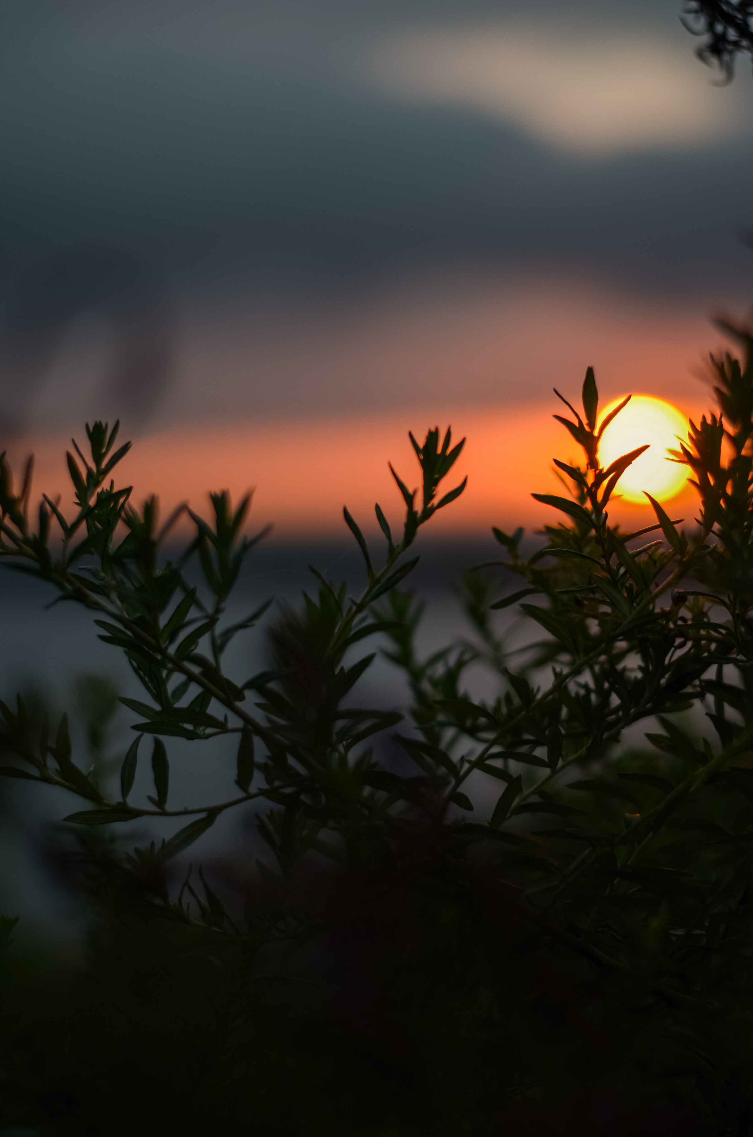 SUNRISE. LunarVox Lens: a lente que transforma luz em voz e emoção. Retratos e ensaios no Japão por Leyka Tanaka