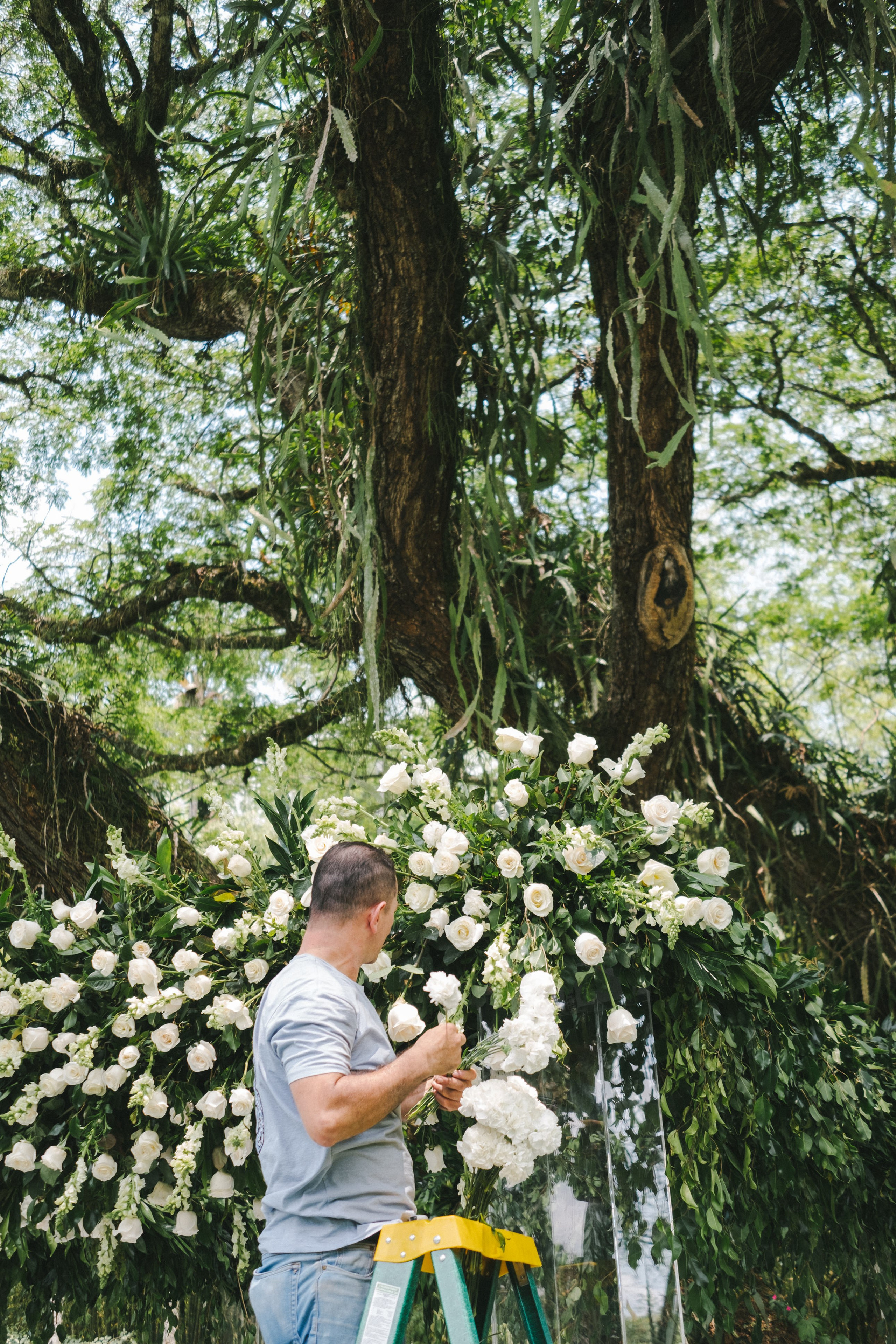 Fotografía y video de bodas en Pereira - Colombia. Rafael Melo Weddings