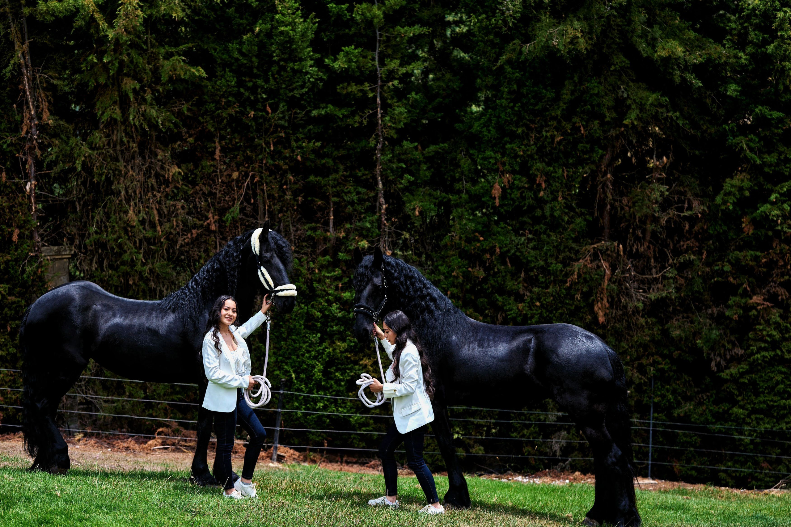 Fotos con caballos para Quiceaños. Wedding Photography & Videography by ZZ Hendrick | Capturing Your Love Story in Colombia & USA
