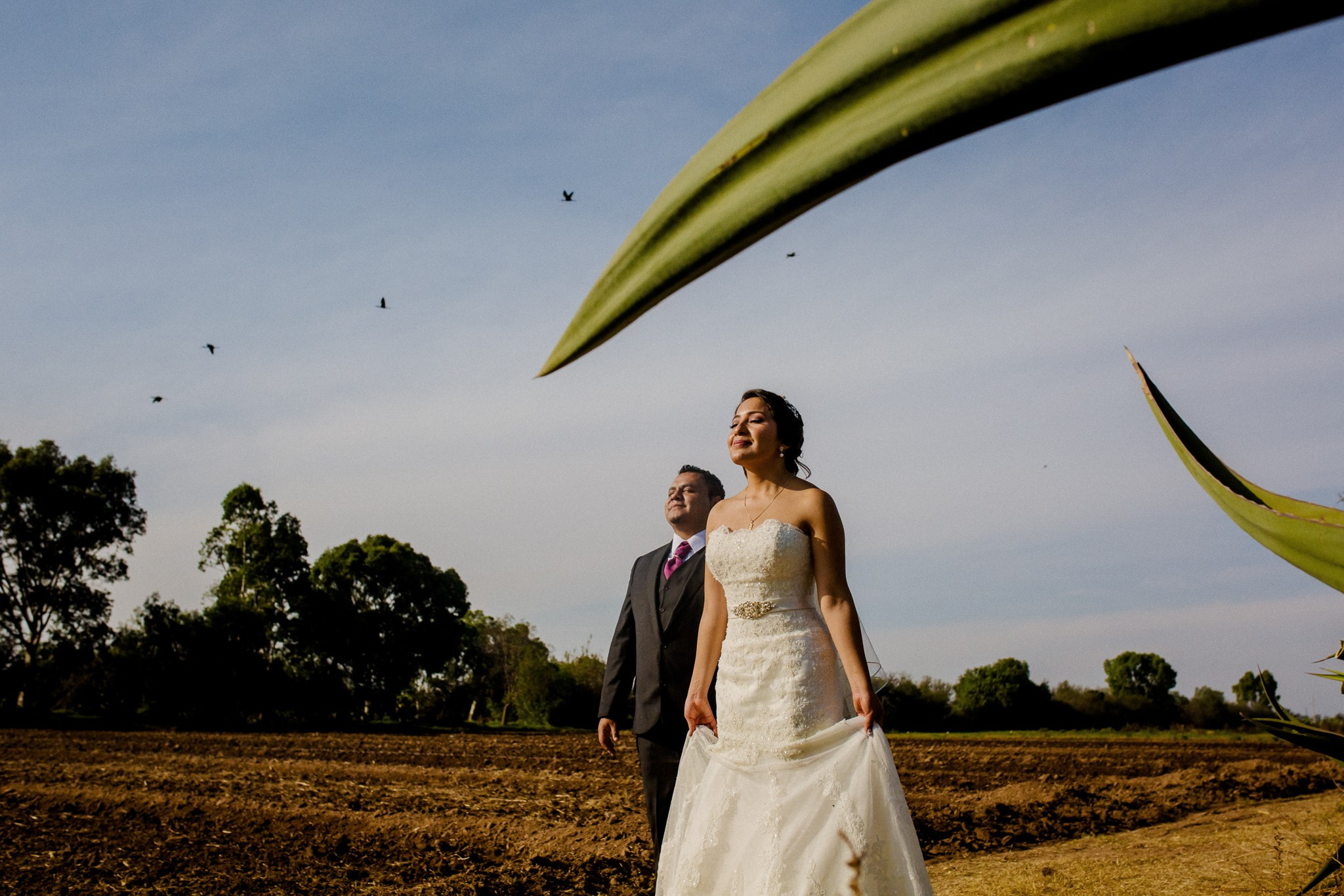 Yadirah y Anibal. Fotógrafo de bodas