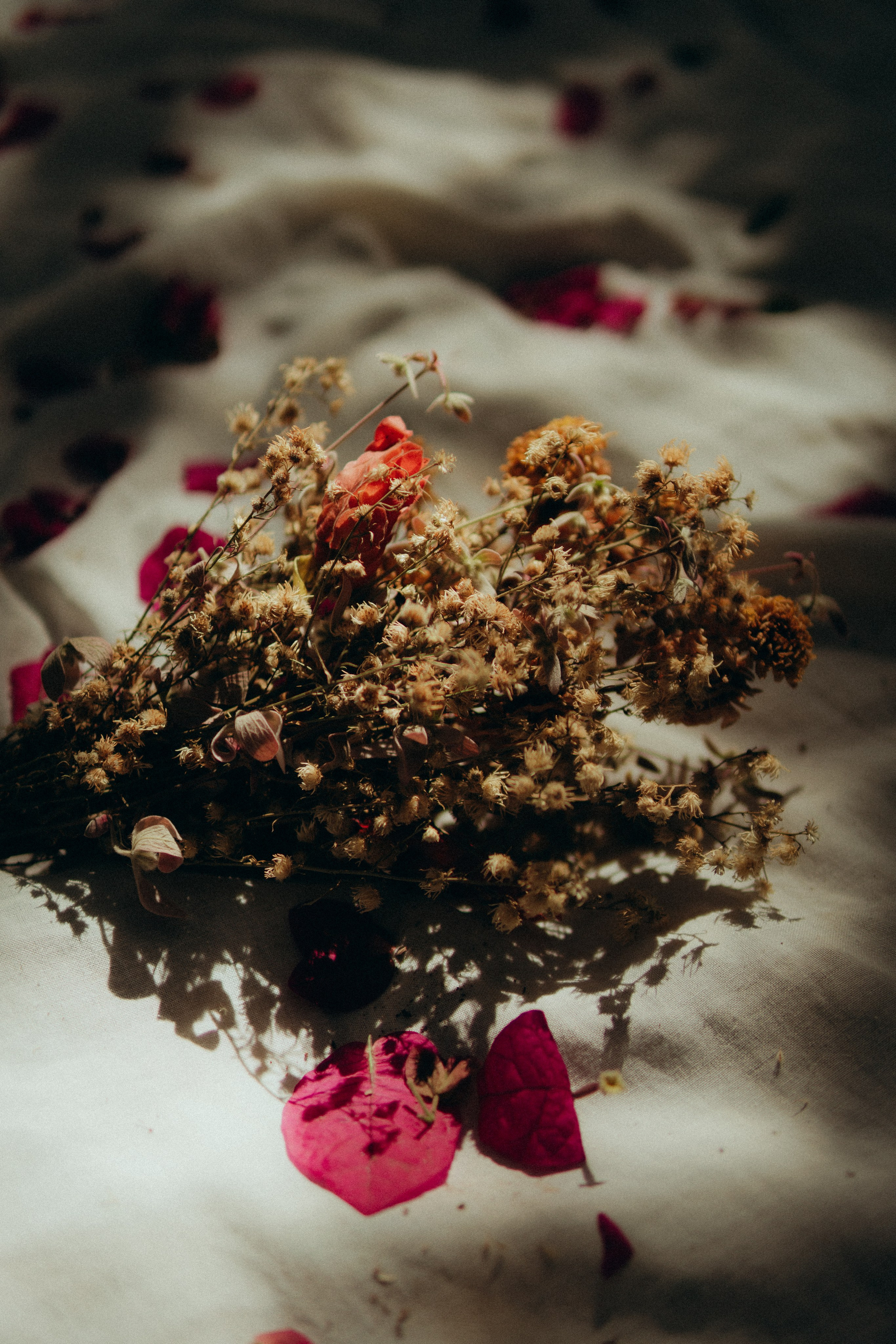 Fotografia de Família Lifestyle e Documental em BH. Fotógrafo de Casamento espontâneo em Belo Horizonte MG| Bittencourt Frames