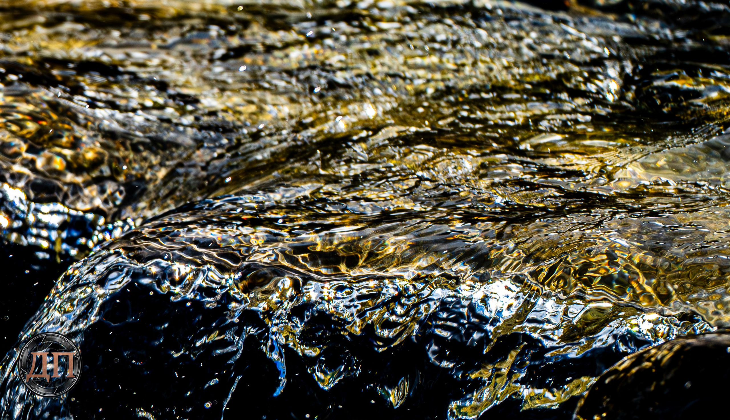 DP Photography