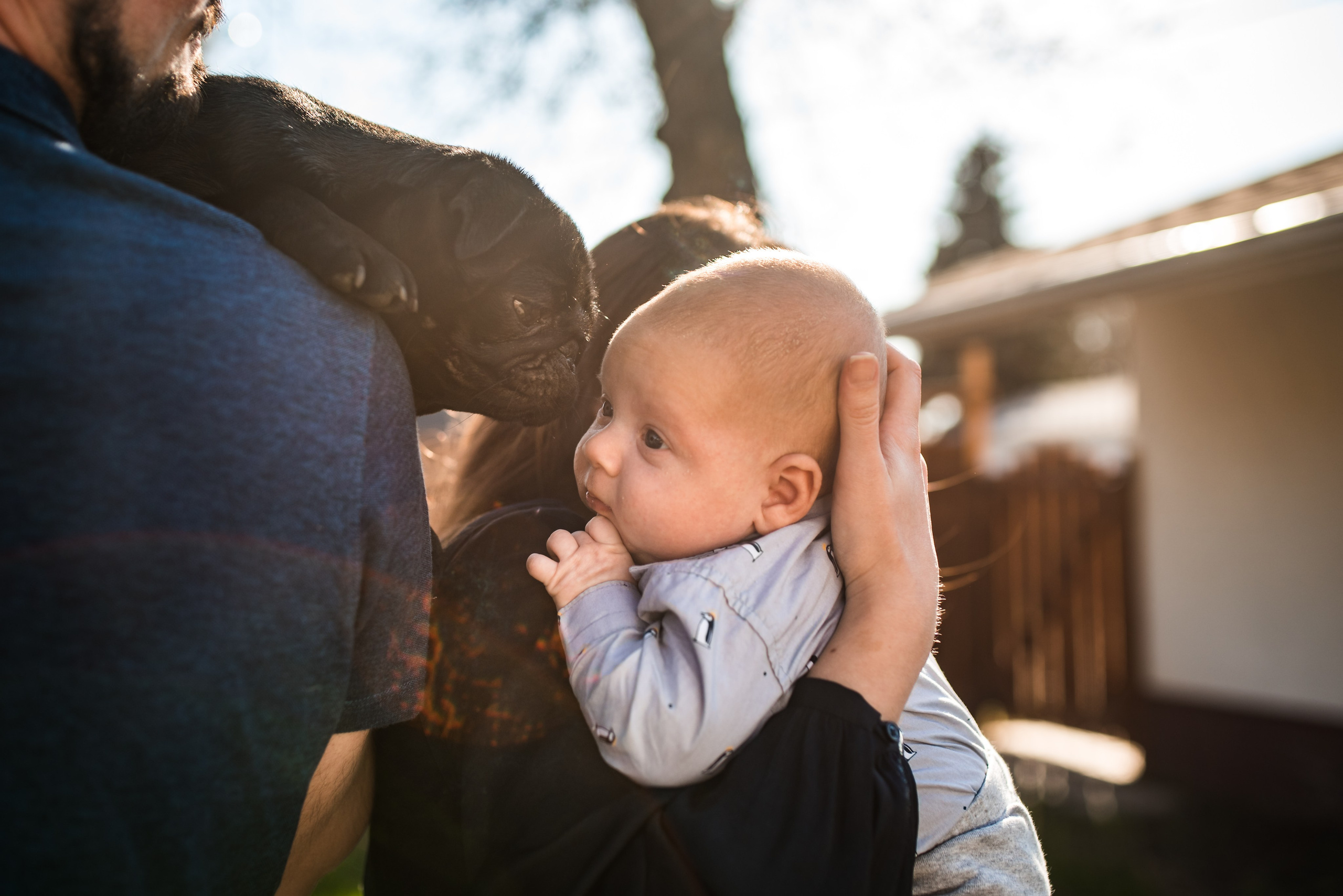 Fotografia de Família e Afeto