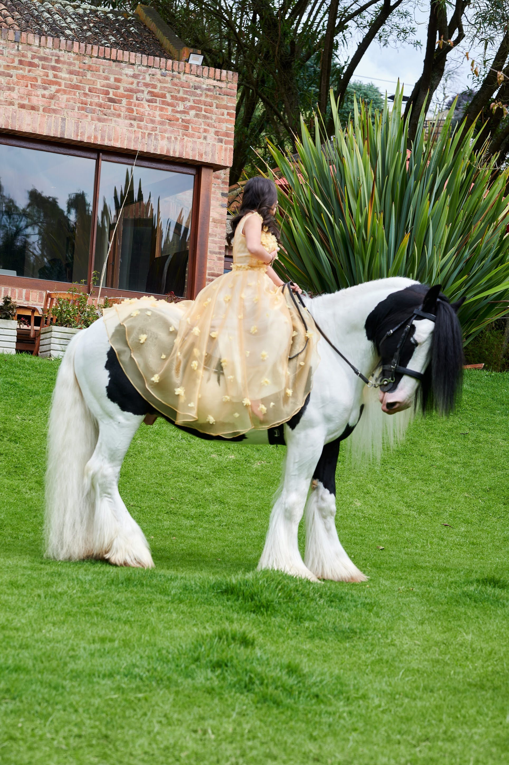 Fotos con caballos para Quiceaños. Wedding Photography & Videography by ZZ Hendrick | Capturing Your Love Story in Colombia & USA