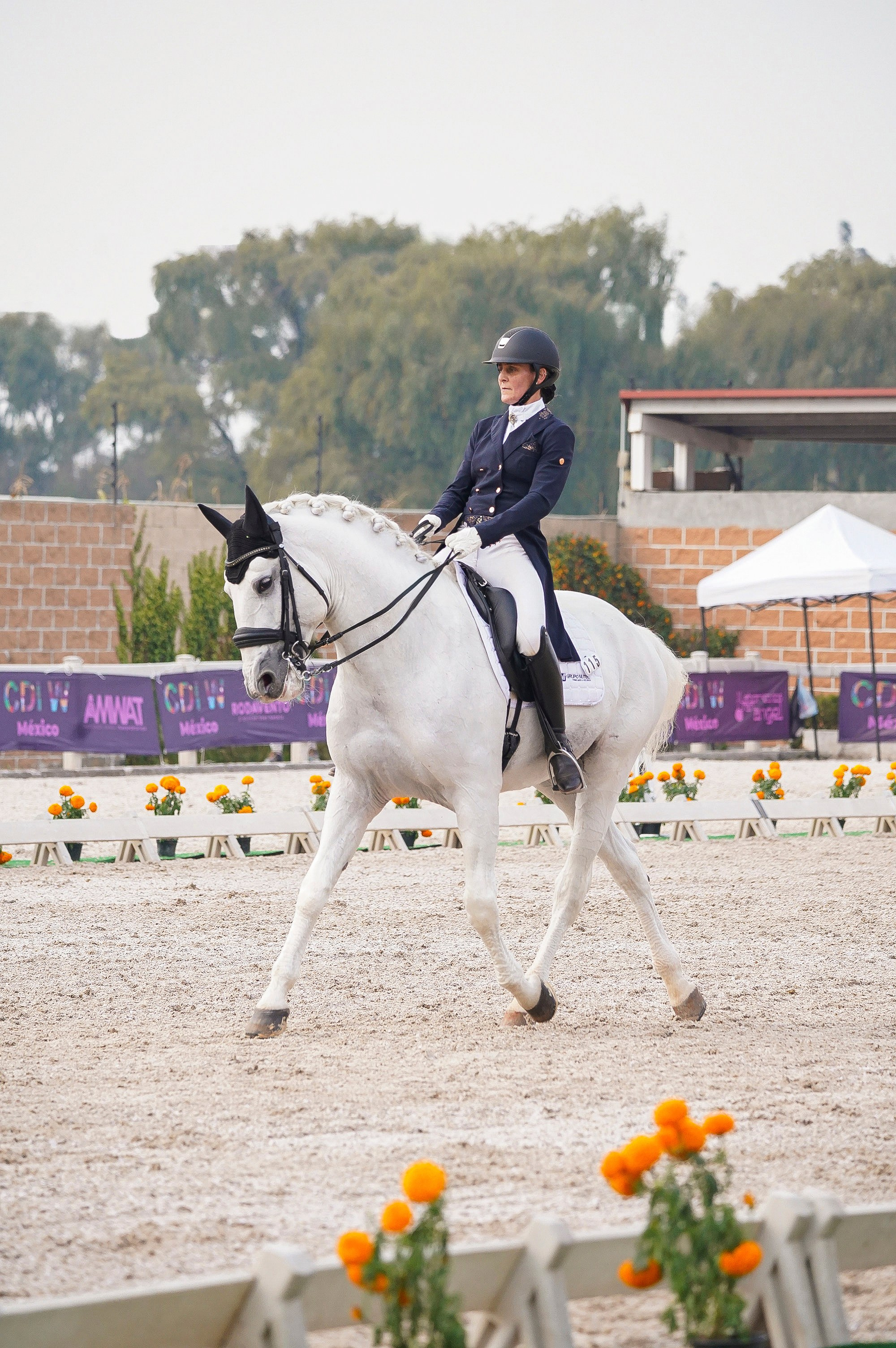 Vacation photoshoot in Mexico City. Capture your trip with a professional photographer. Horse riding dressage doma clasica show jumping Tour. Ekaterina Frolova photography