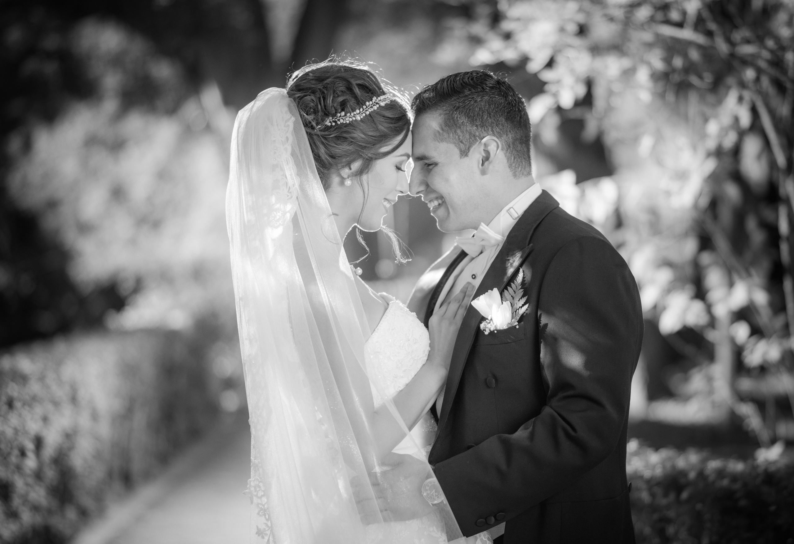 Fotógrafo Profesional en Guadalajara