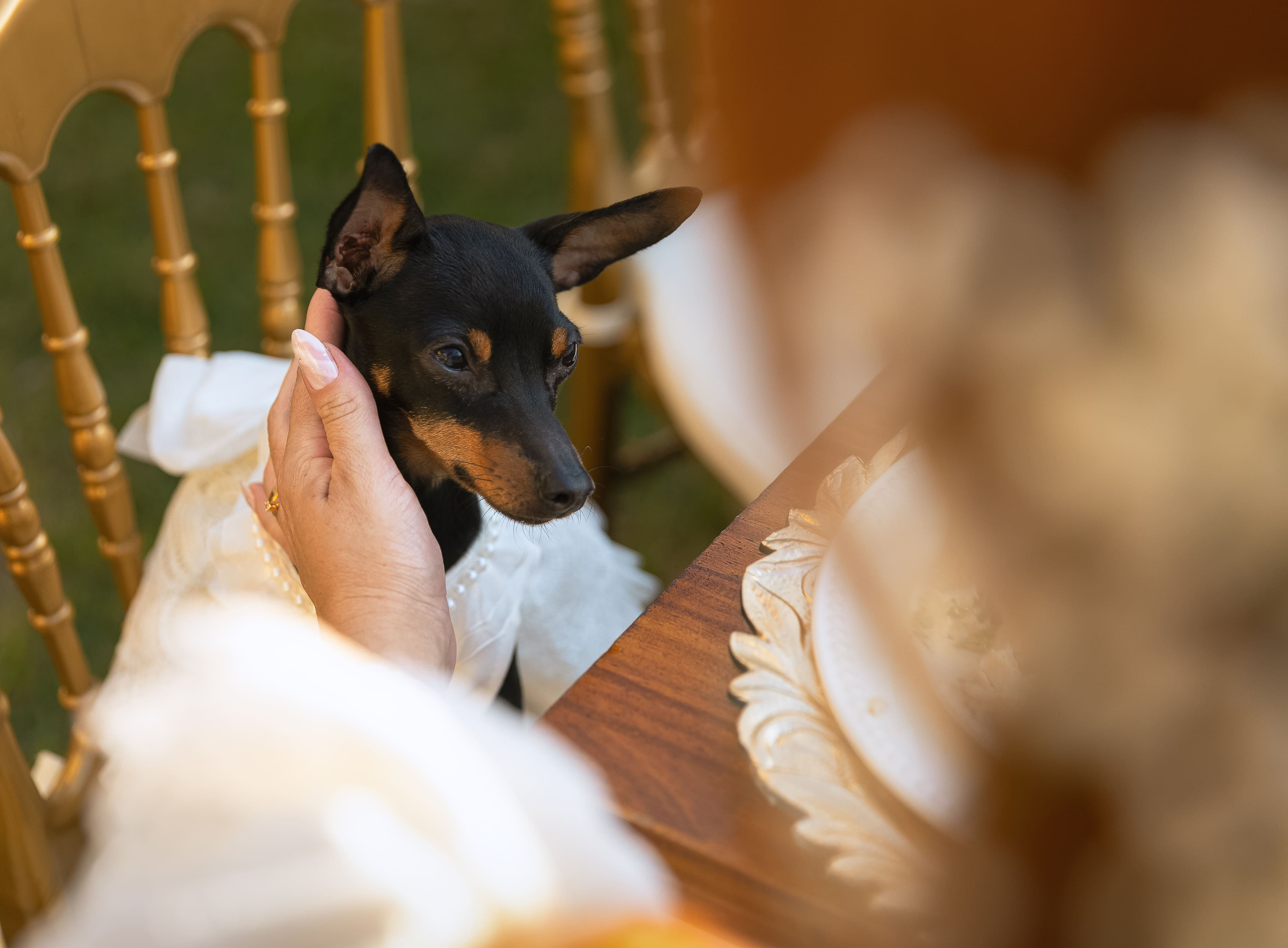 Fotógrafa de casamento em São Paulo, registrando cerimônia, celebração e momentos espontâneos com autenticidade. Fotografias para reviver cada emoção do casamento.