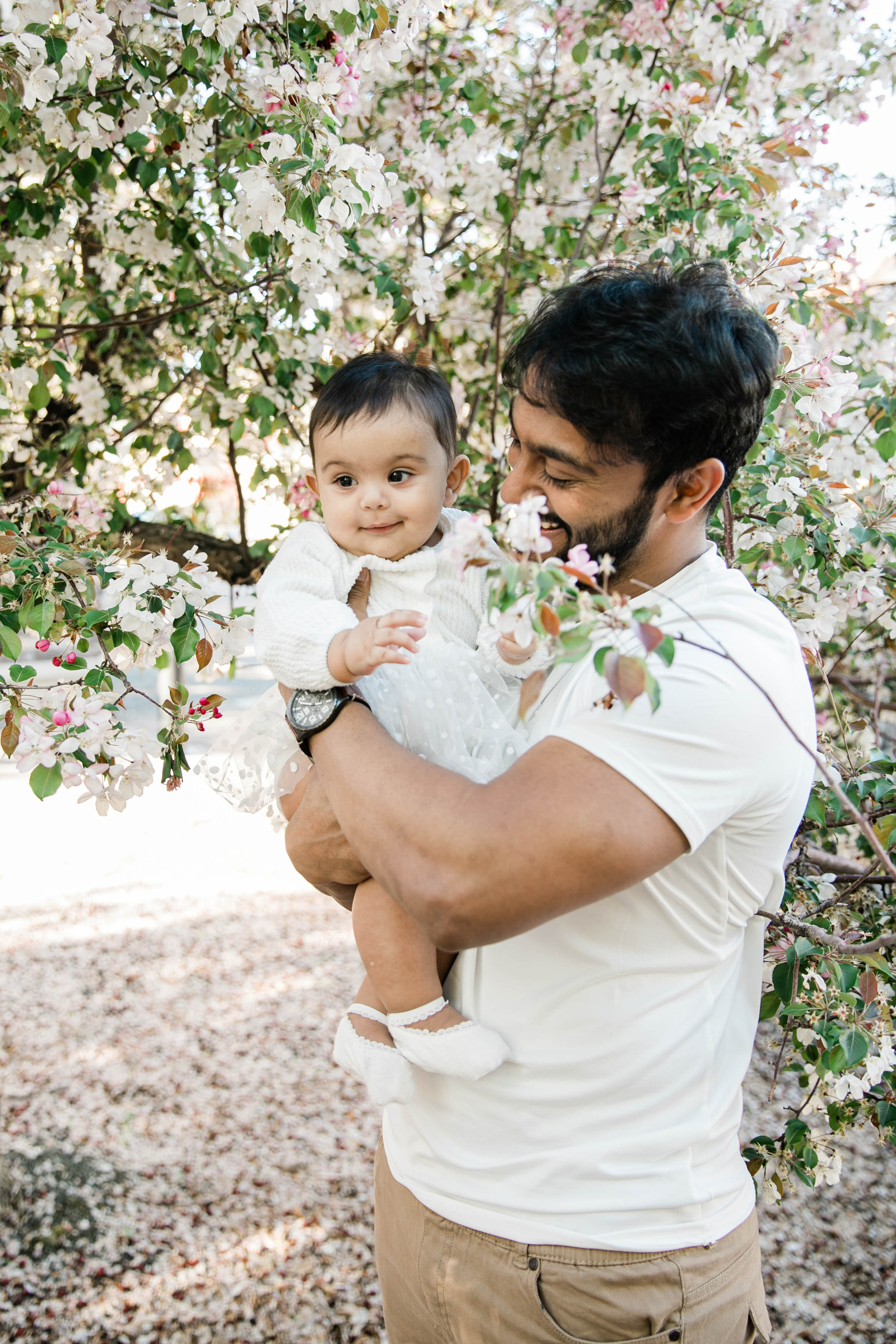 Cherry Blossom — Nabeel Family. Ching Li Photography