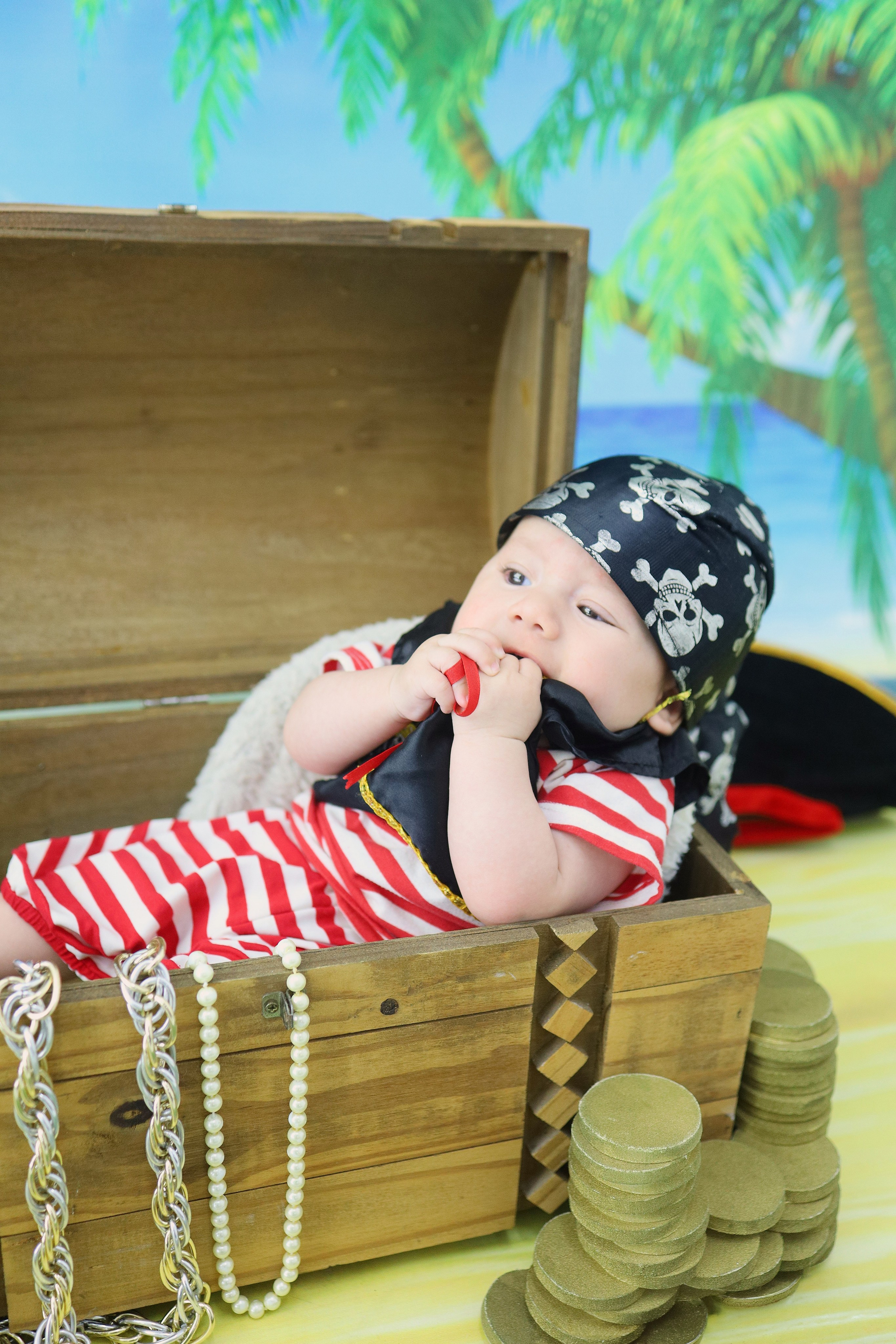 Pirata (5M-12M). Estúdio Gustavo Bueno