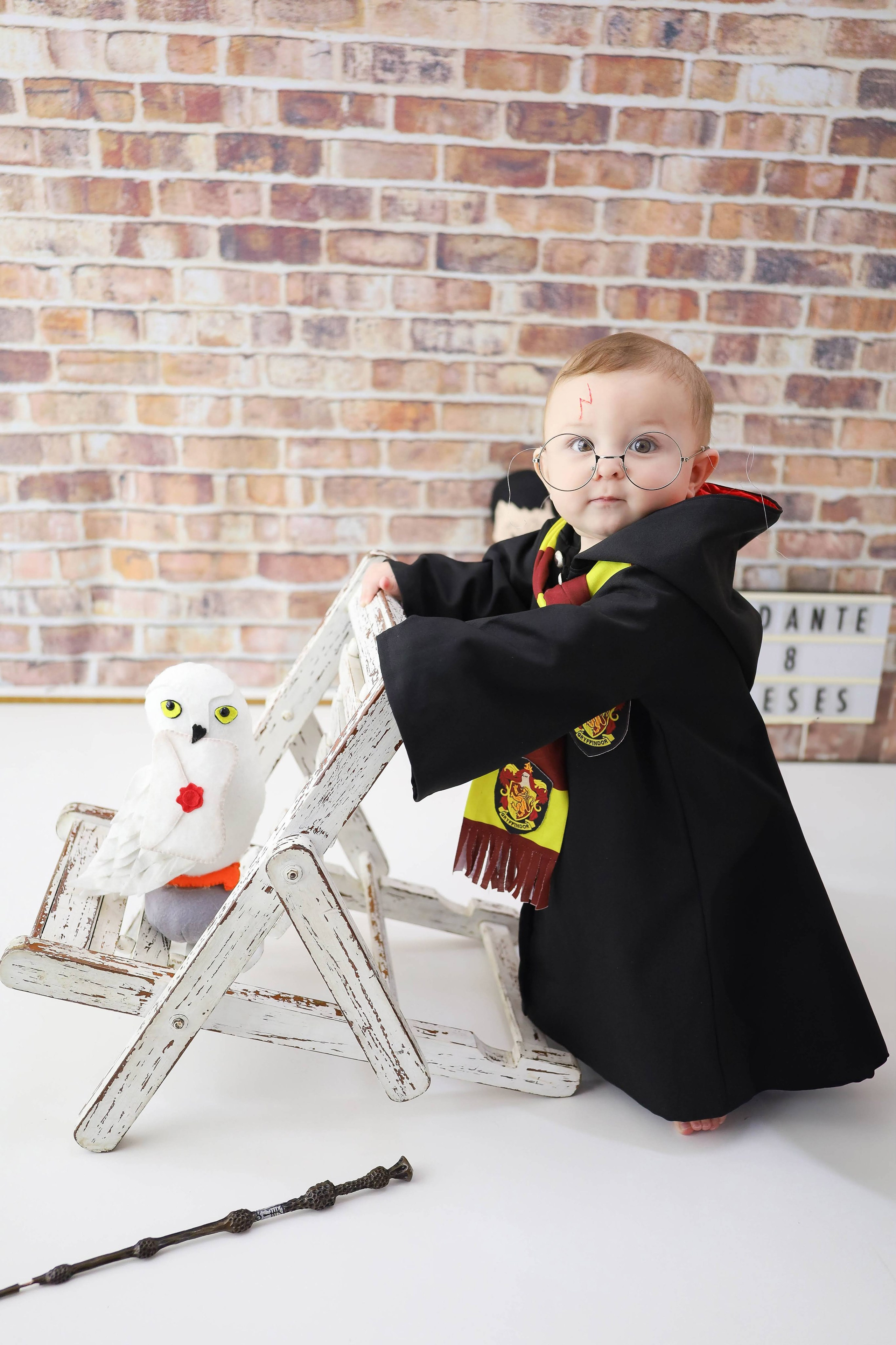 Harry Potter (6M-12M). Estúdio Gustavo Bueno