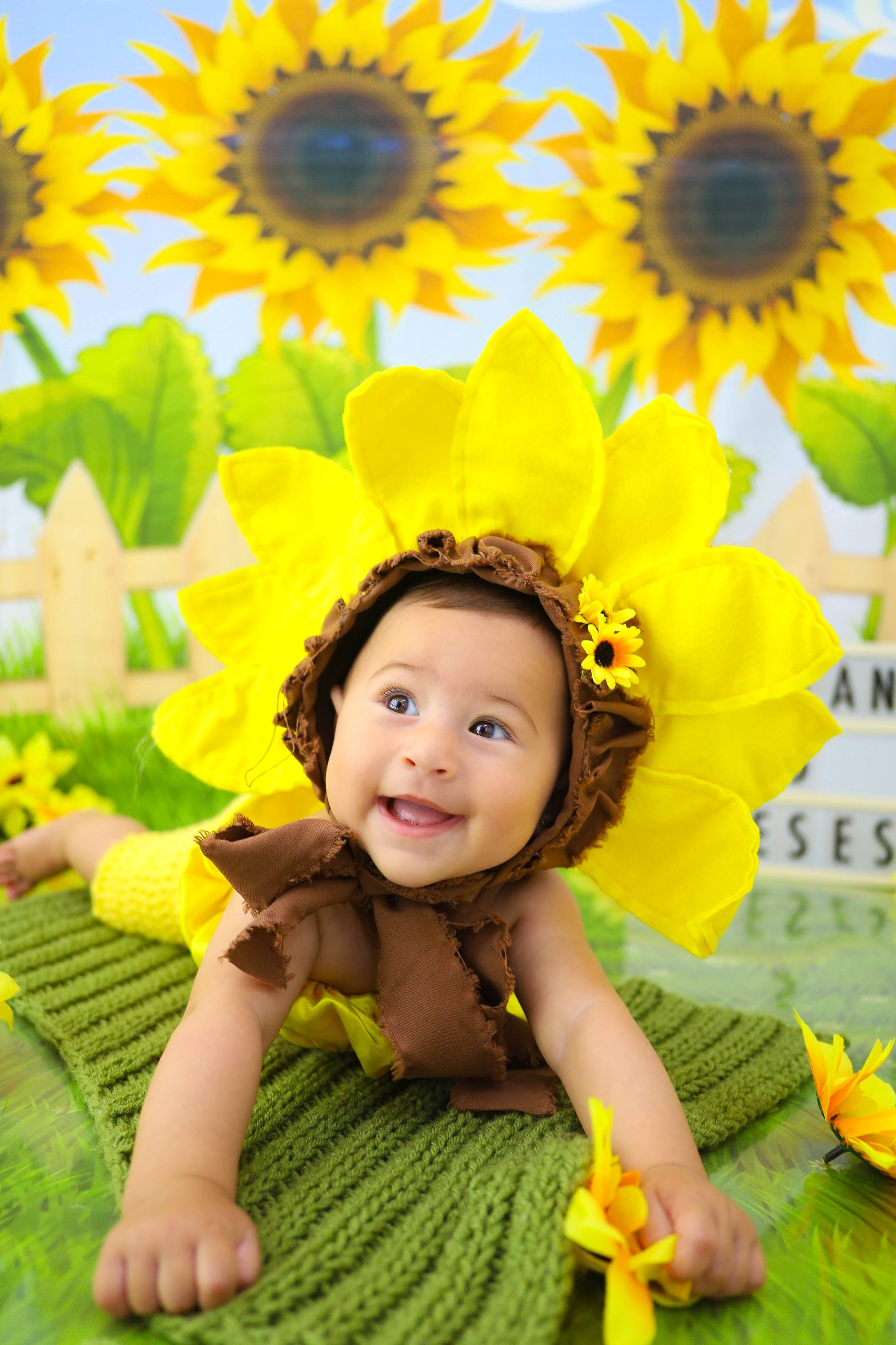 Girassol (3M-12M). Estúdio Gustavo Bueno