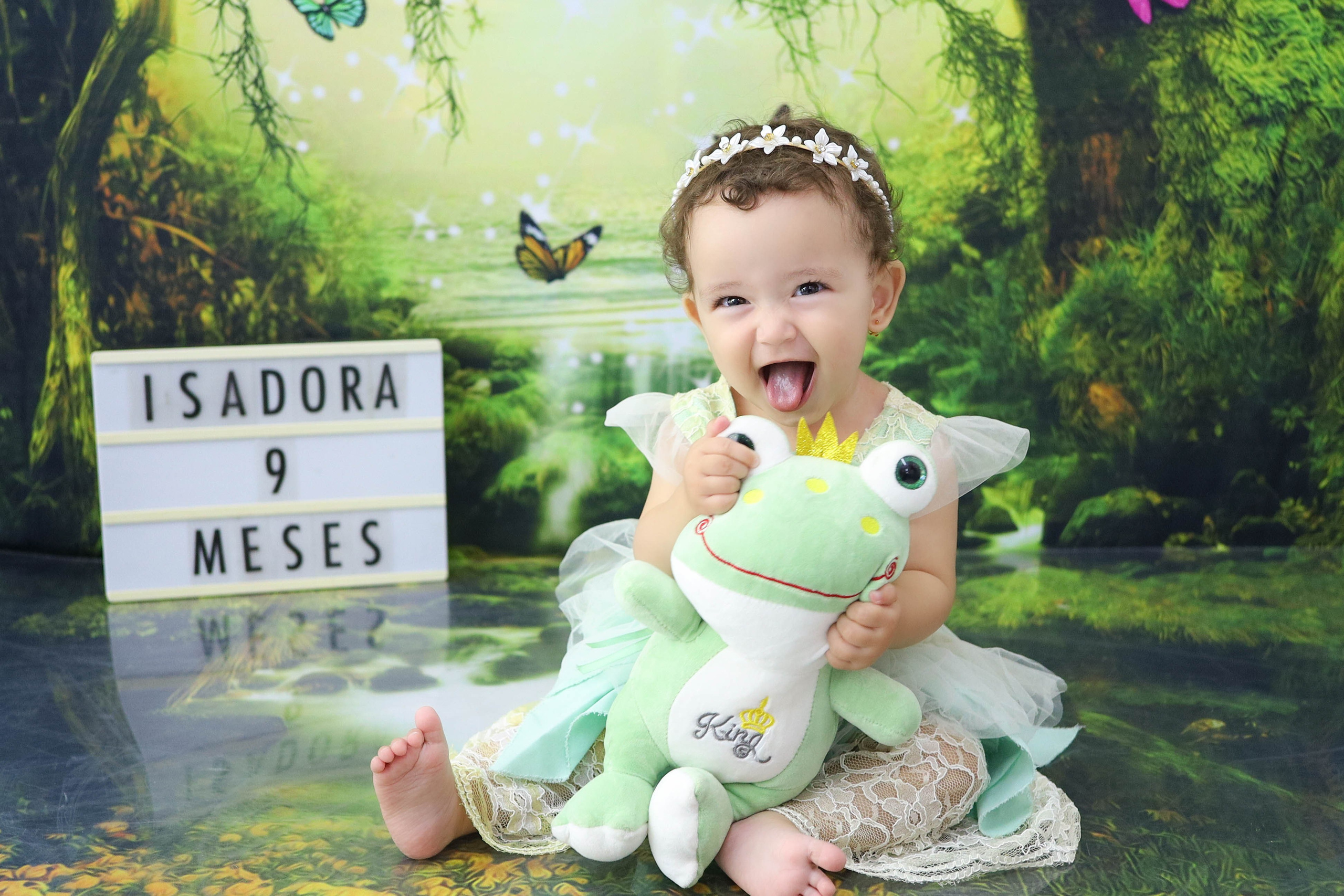 A Princesa e o Sapo (G). Estúdio Gustavo Bueno