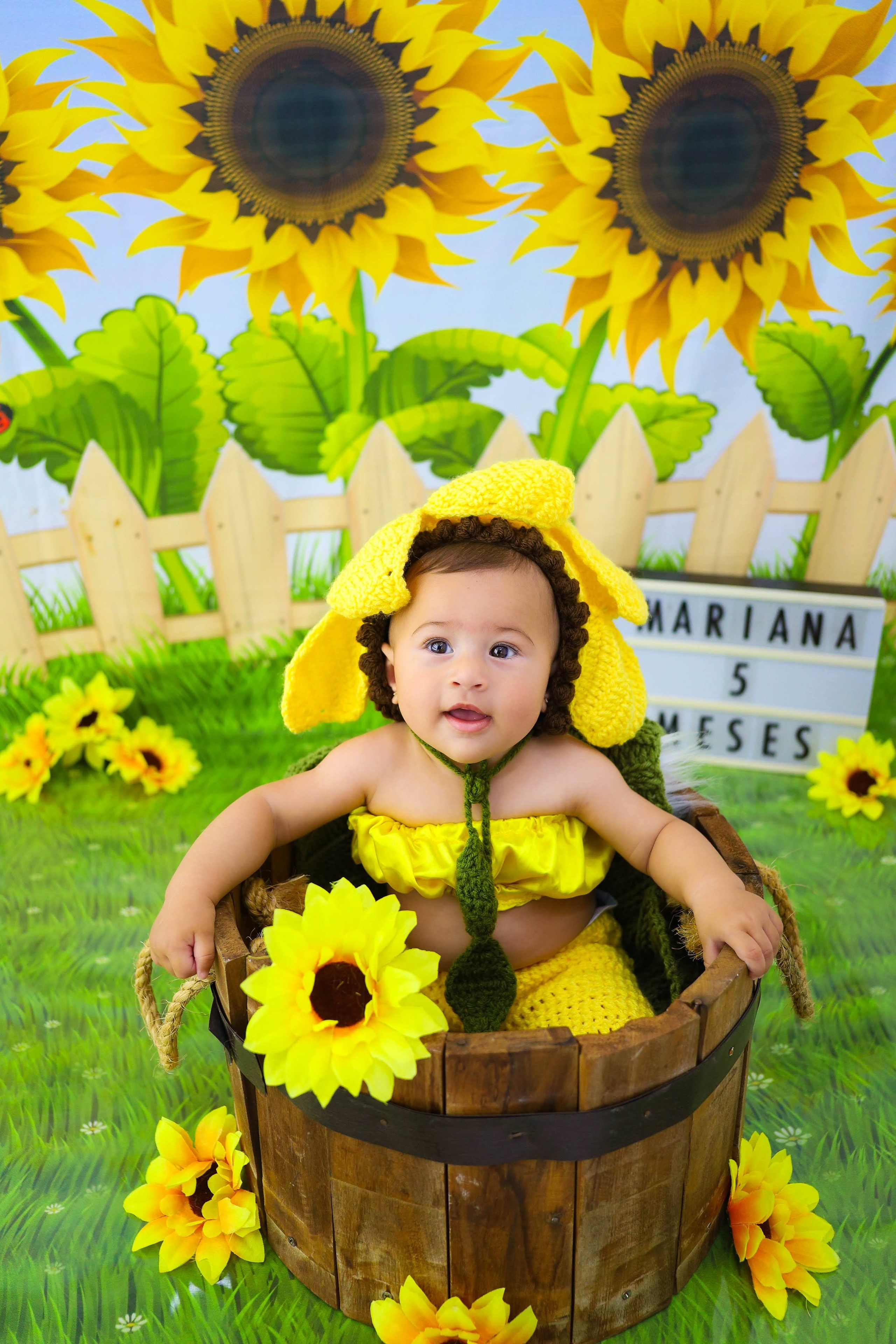 Girassol (3M-12M). Estúdio Gustavo Bueno