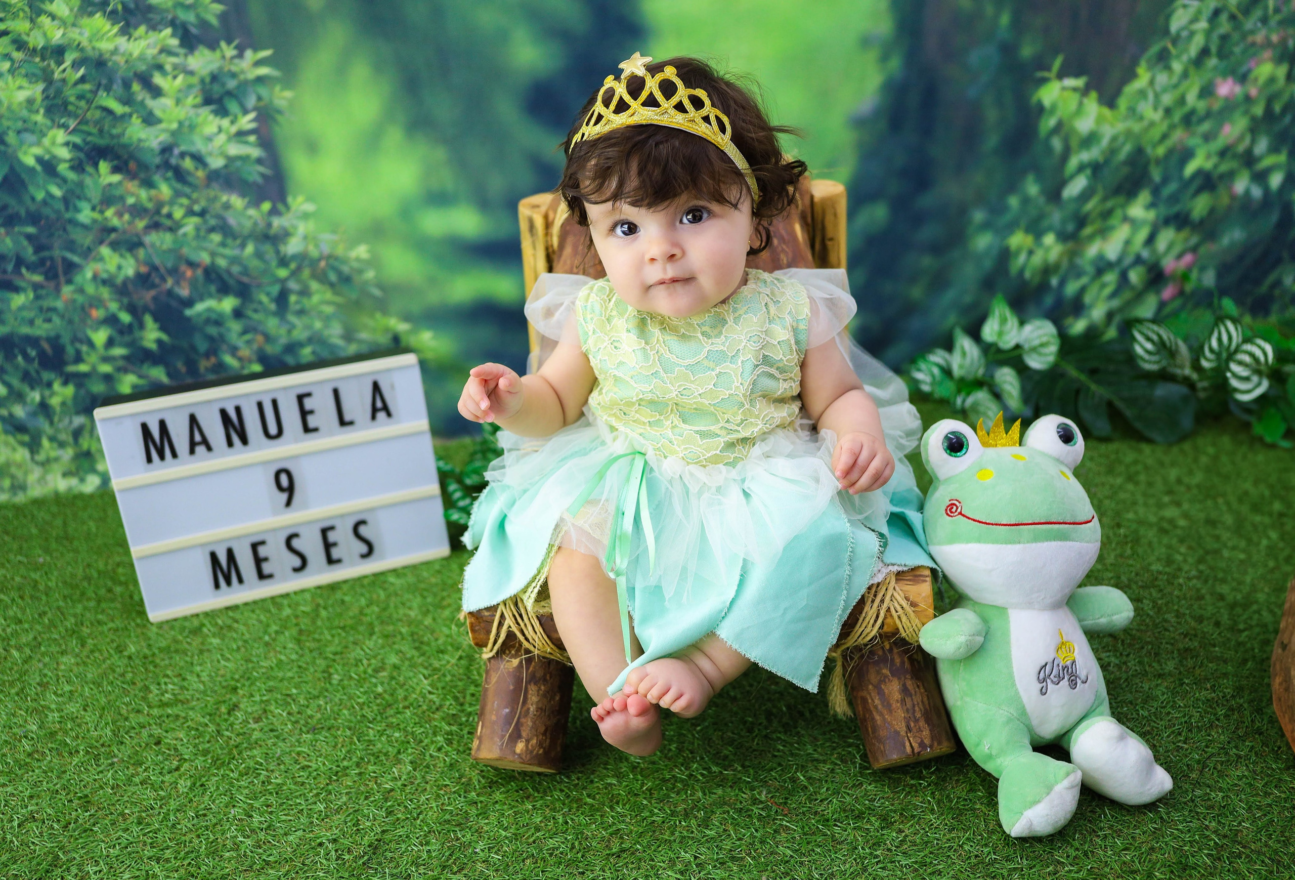 A Princesa e o Sapo (G). Estúdio Gustavo Bueno