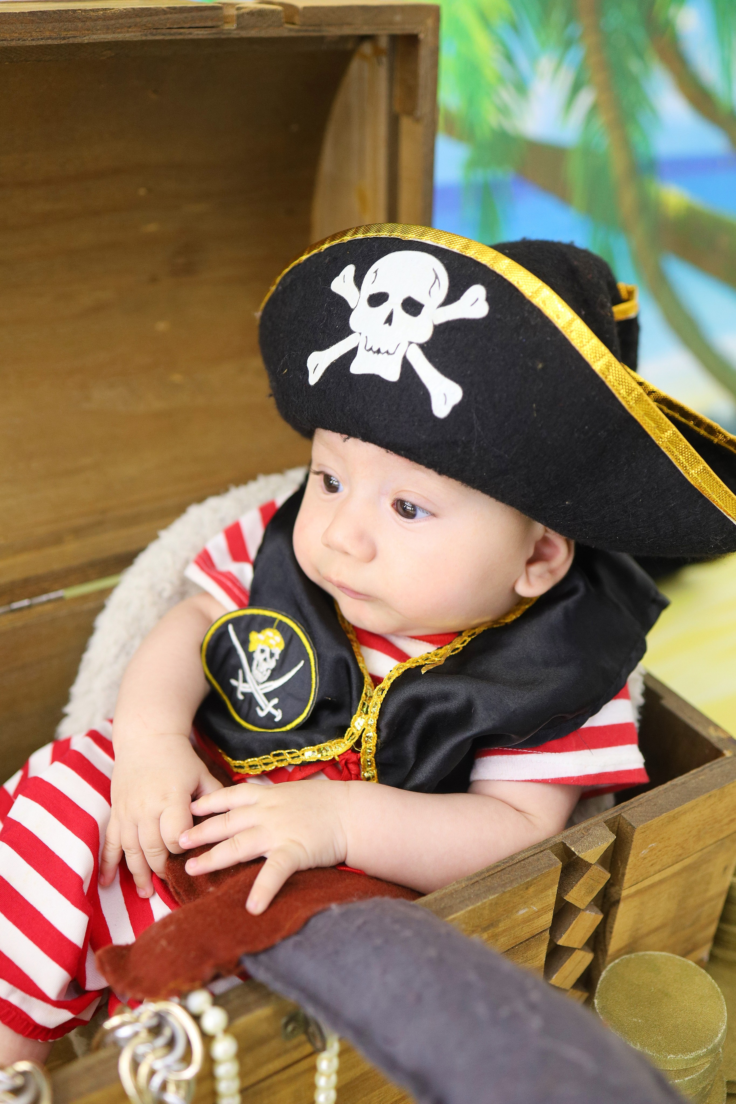 Pirata (5M-12M). Estúdio Gustavo Bueno