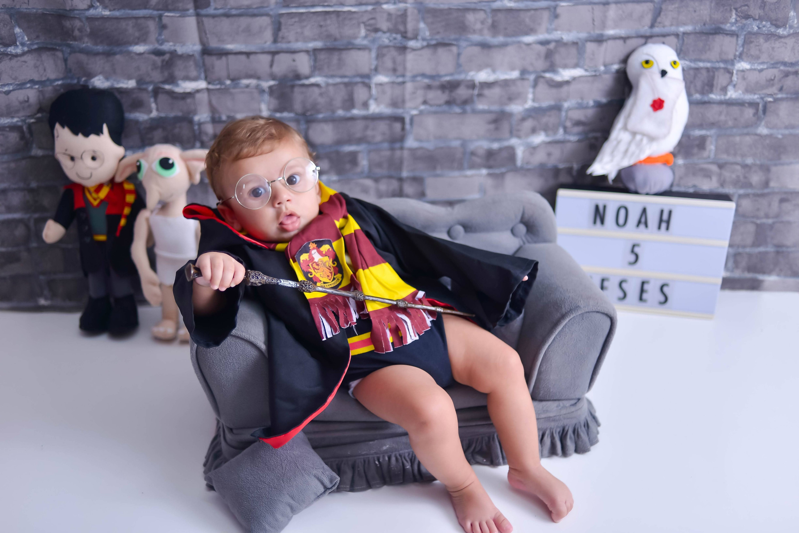 Harry Potter (6M-12M). Estúdio Gustavo Bueno