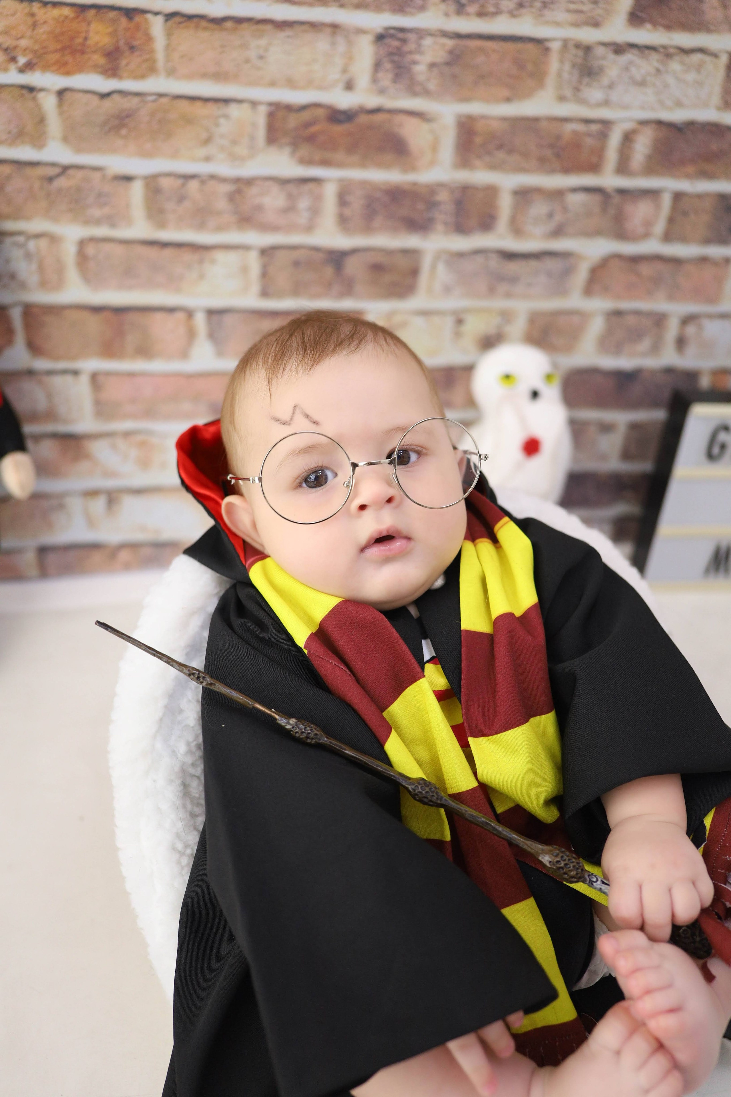 Harry Potter (6M-12M). Estúdio Gustavo Bueno