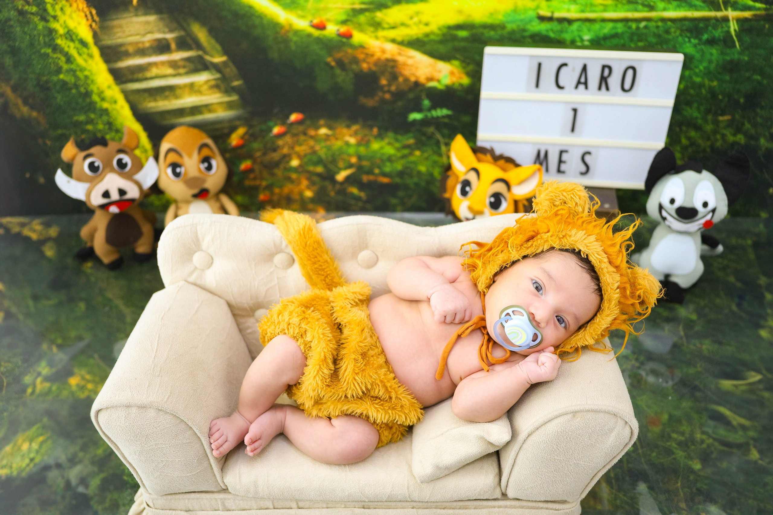 Leãozinho (1M-12M). Estúdio Gustavo Bueno
