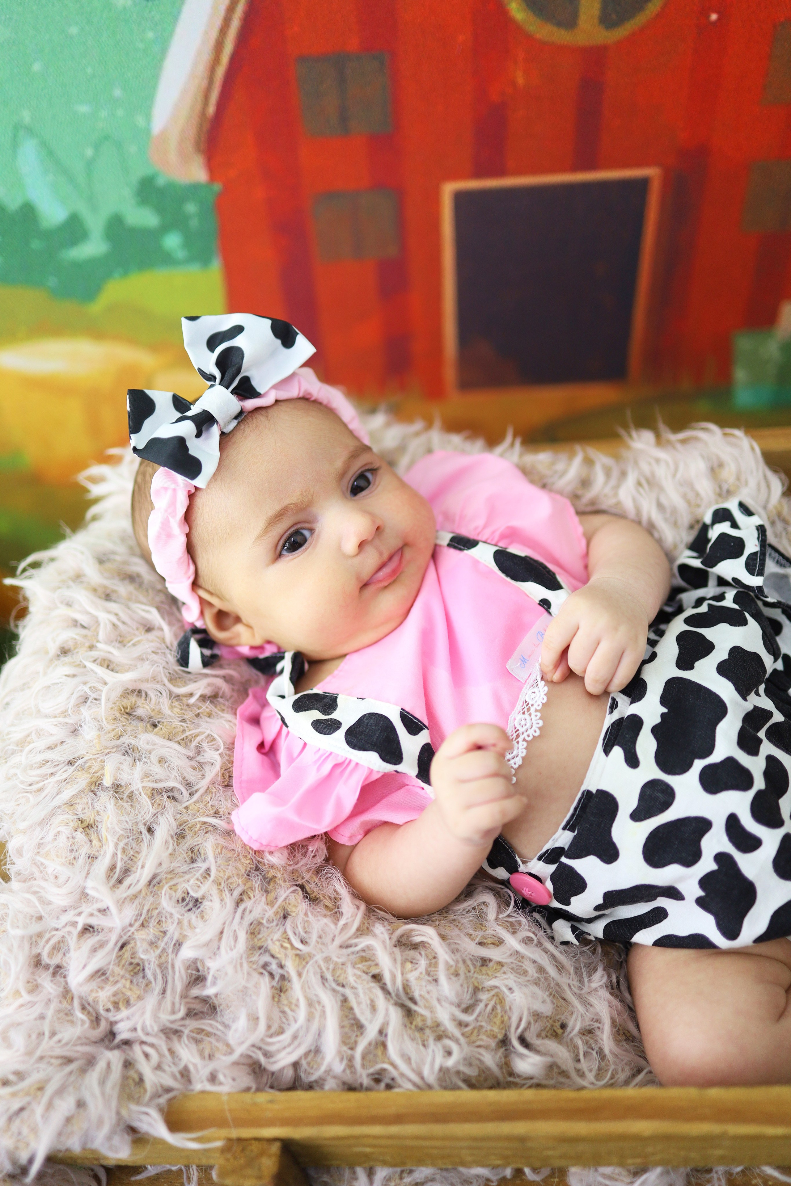 Fazendinha (1M-12M). Estúdio Gustavo Bueno