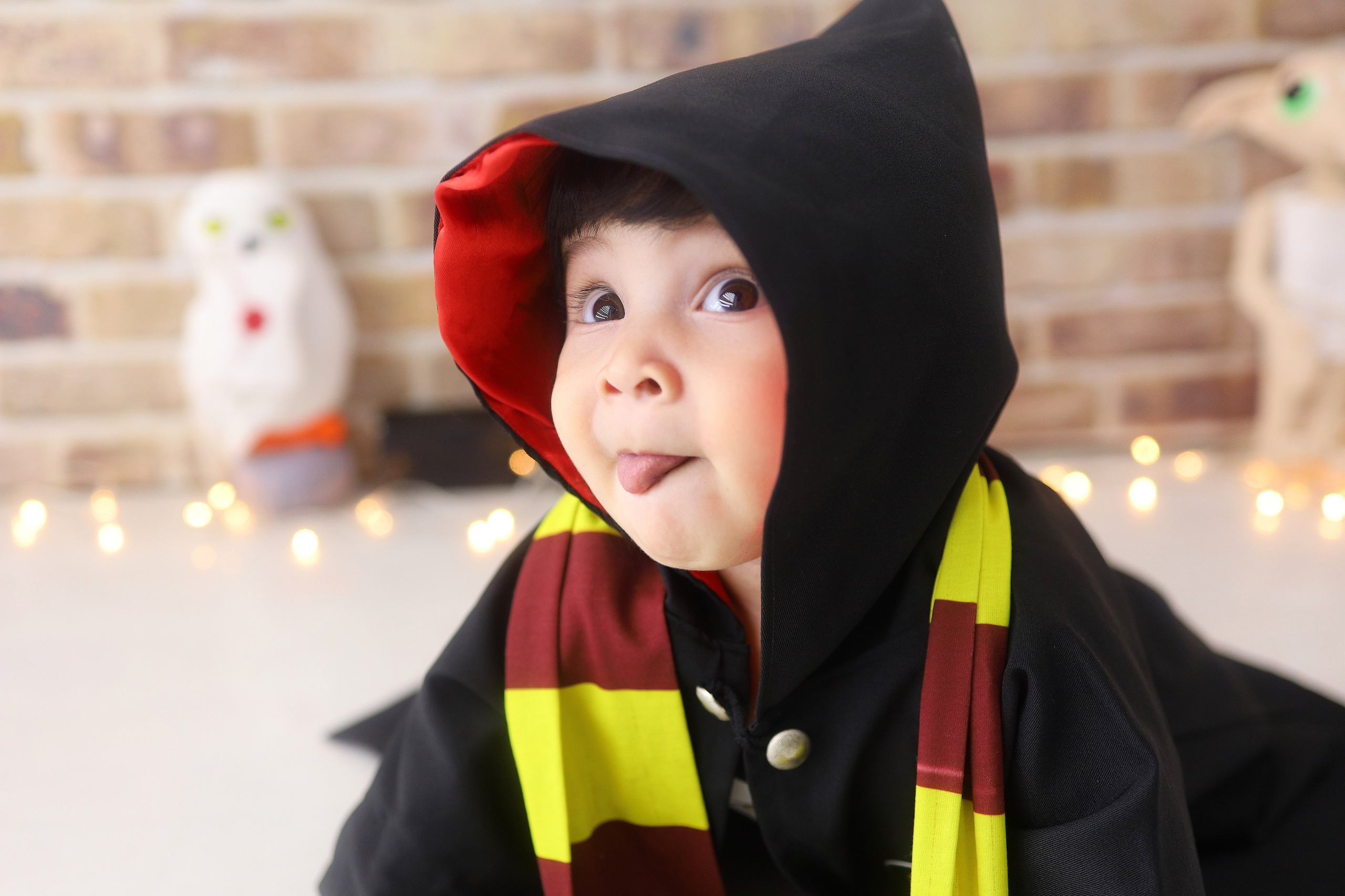 Harry Potter (6M-12M). Estúdio Gustavo Bueno