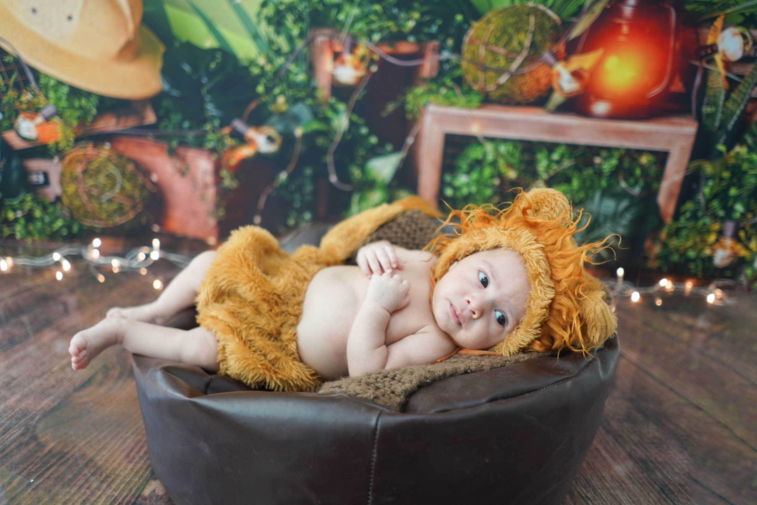 Leãozinho (1M-12M). Estúdio Gustavo Bueno