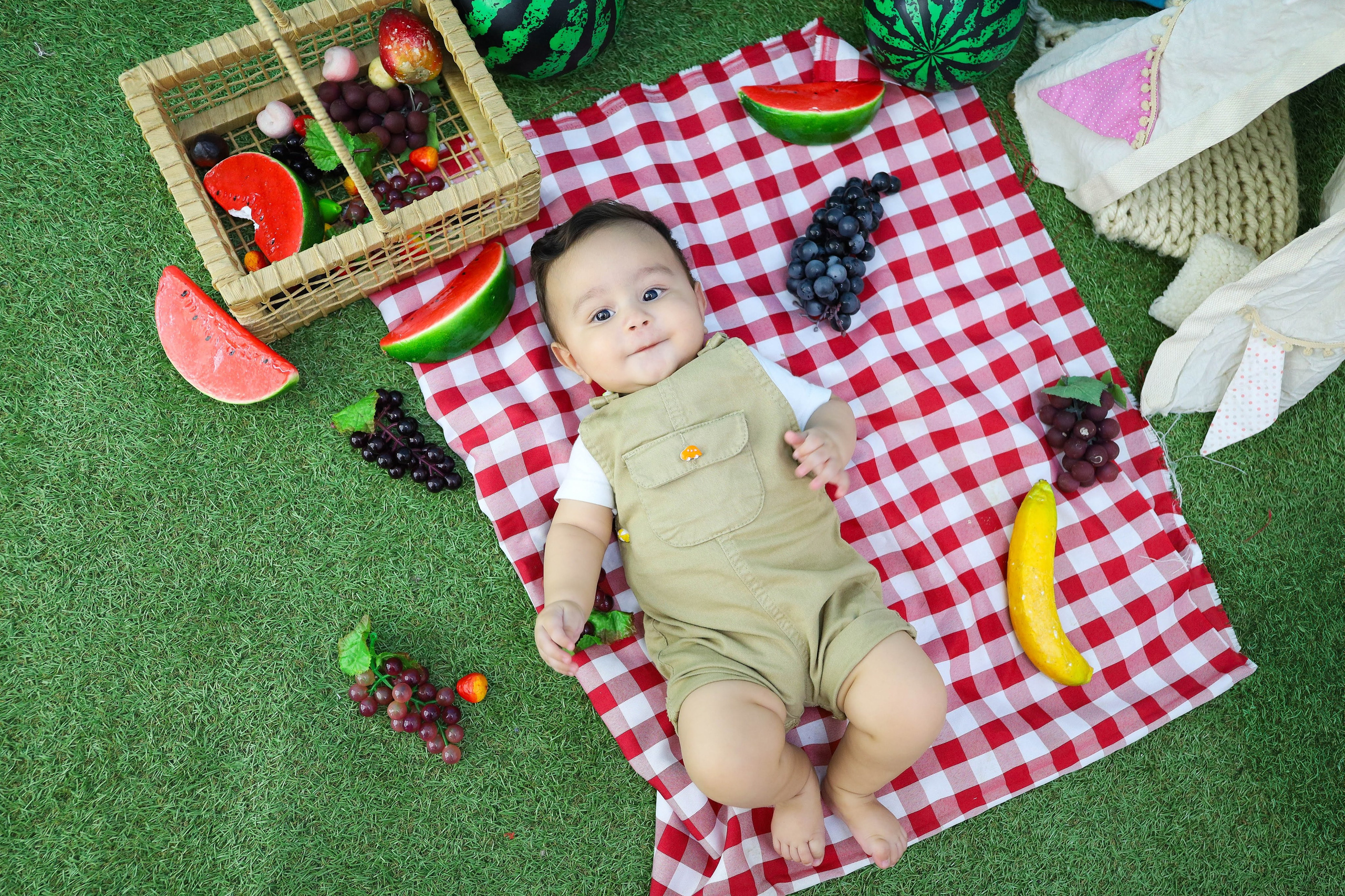 Frutinha/Picnic (6M-12M). Estúdio Gustavo Bueno