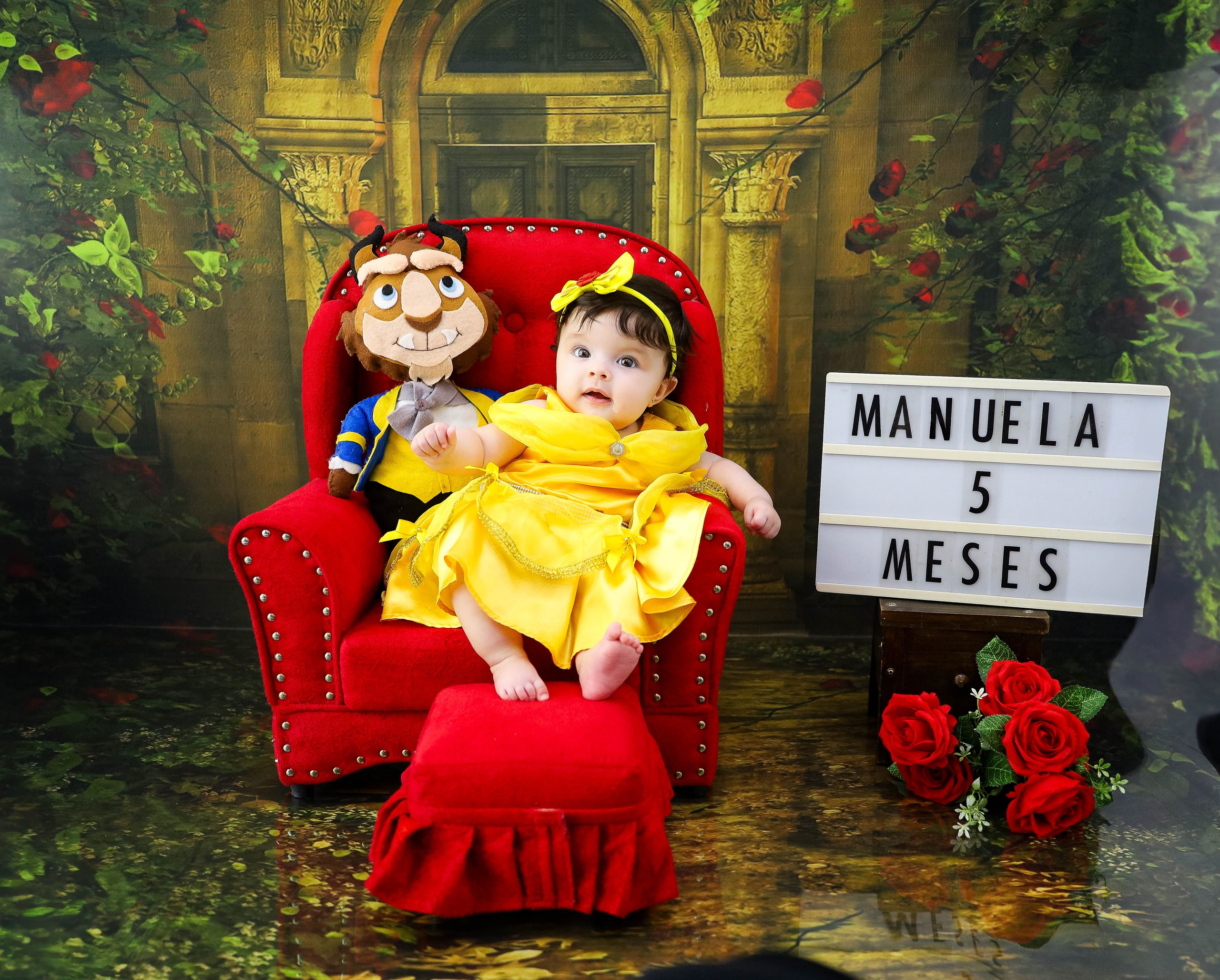 Bela e a Fera (3M-12M). Estúdio Gustavo Bueno