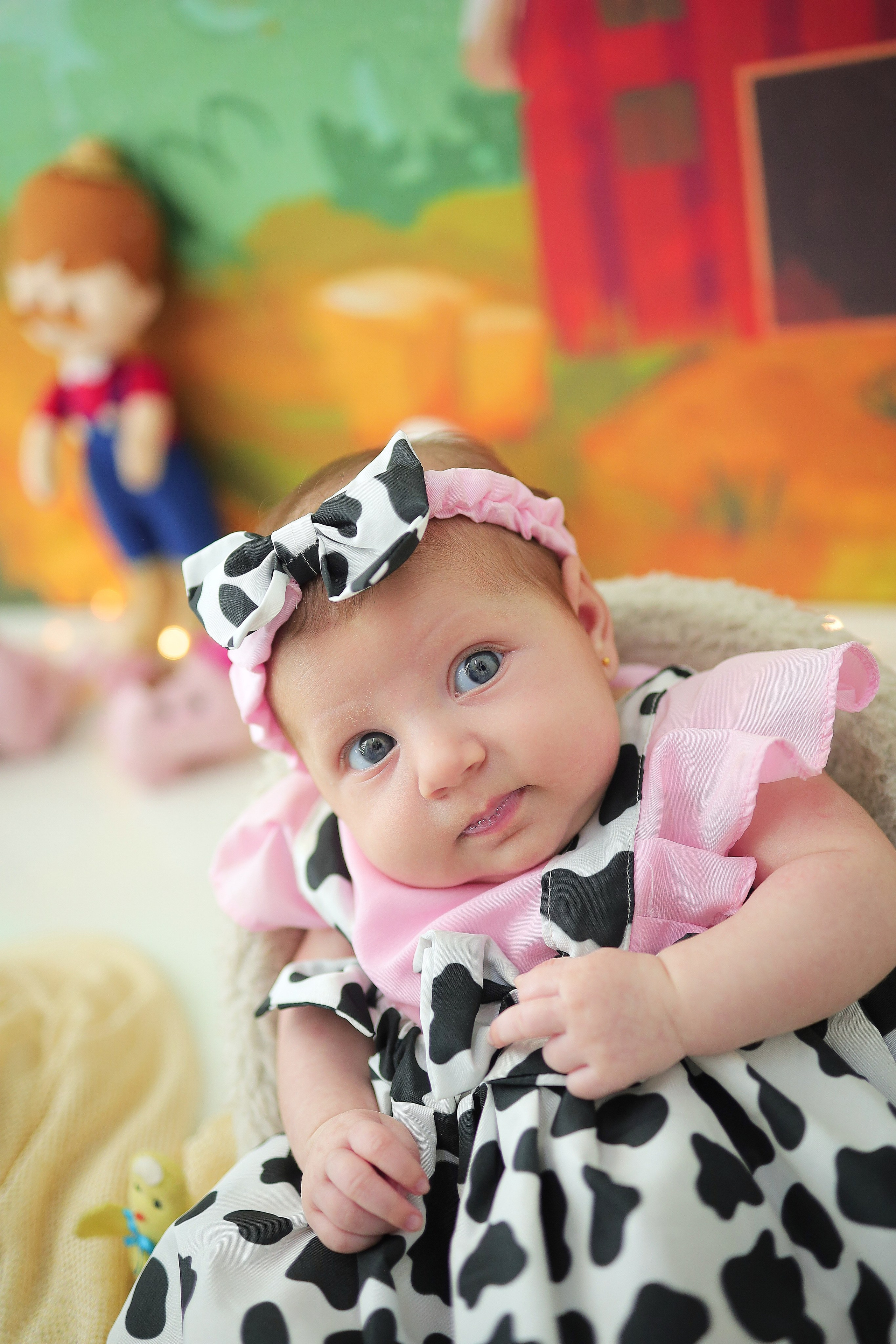 Fazendinha (1M-12M). Estúdio Gustavo Bueno