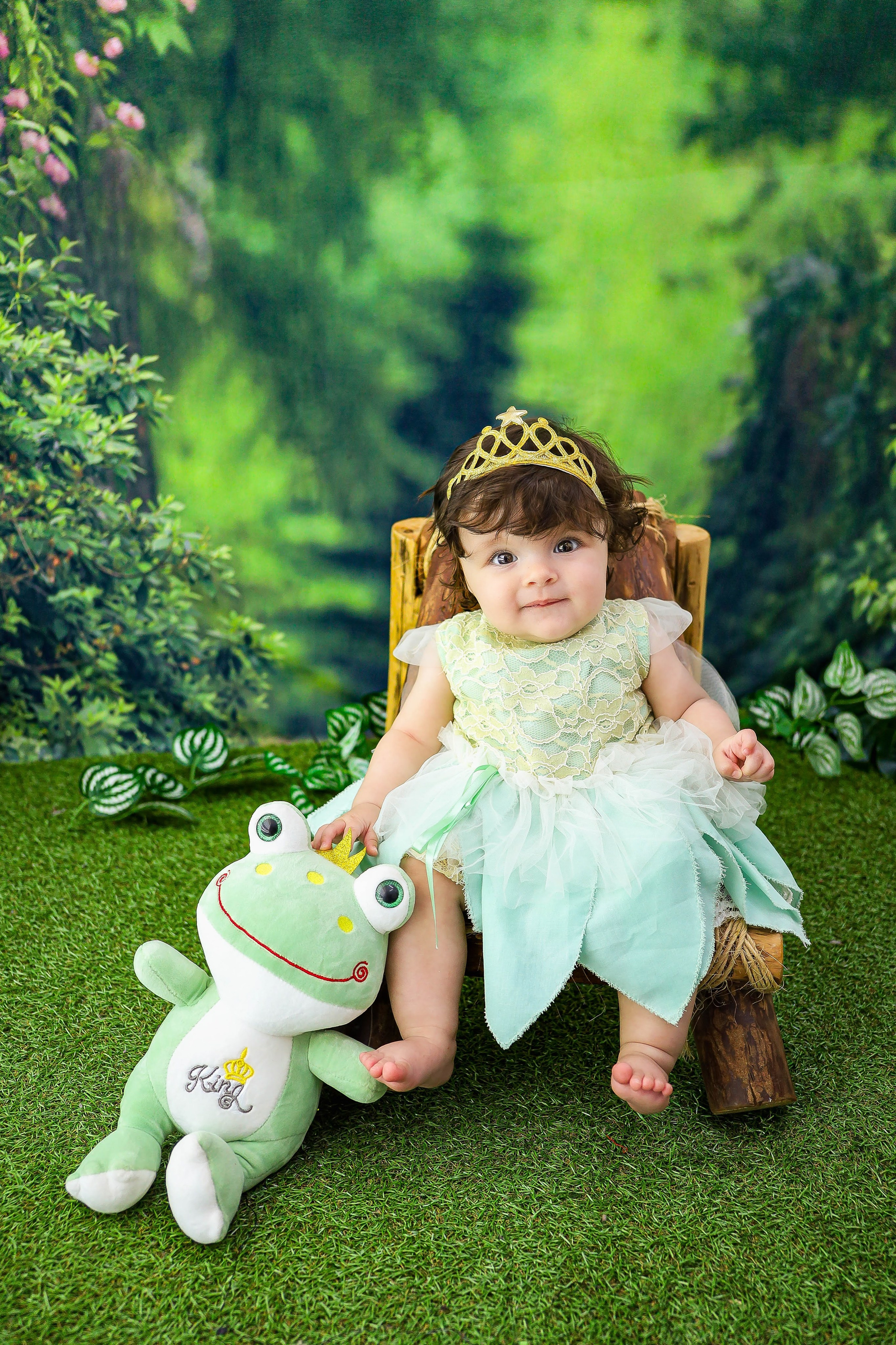 A Princesa e o Sapo (G). Estúdio Gustavo Bueno