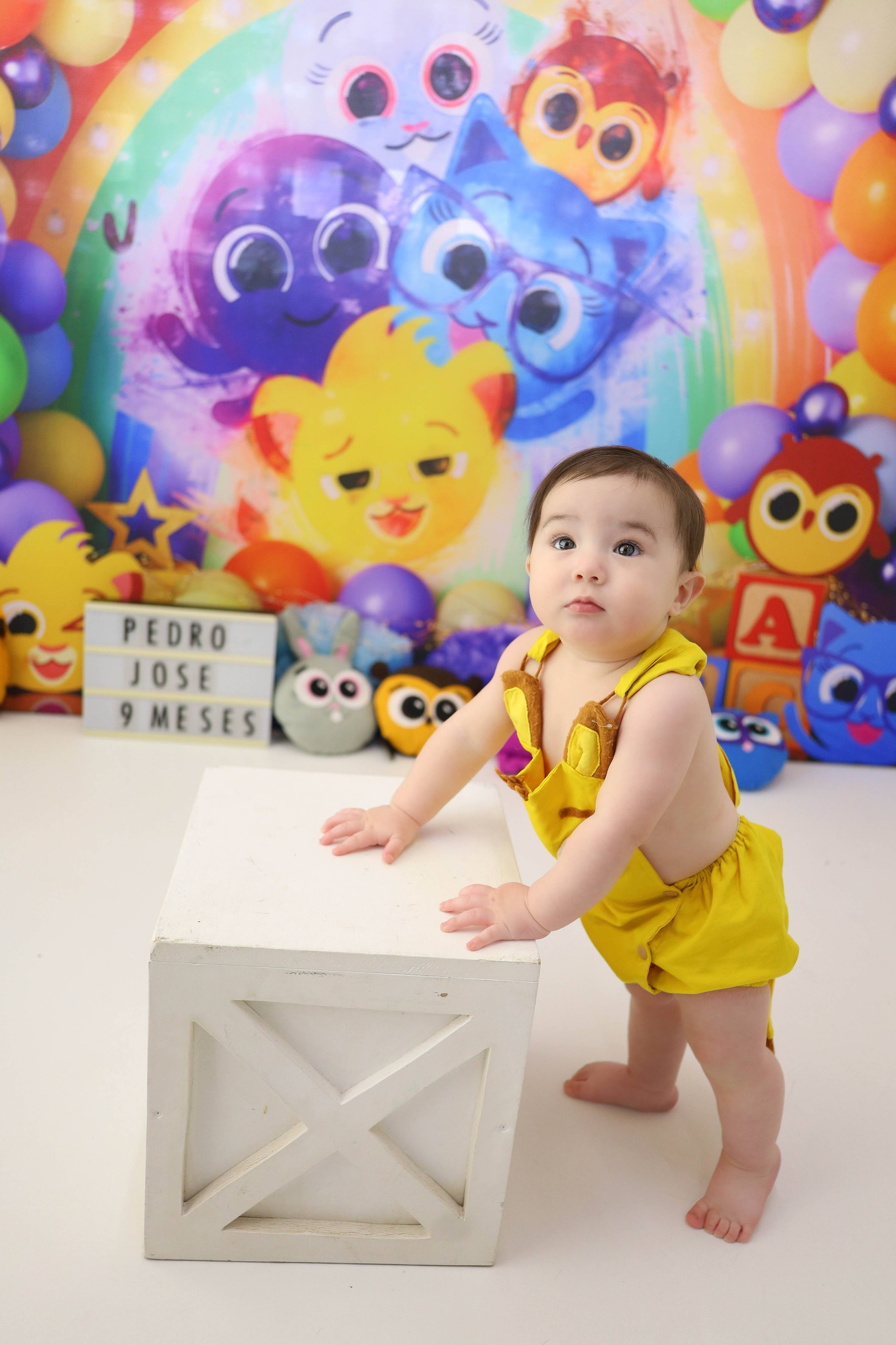 Bolofofo (3M-12M). Estúdio Gustavo Bueno