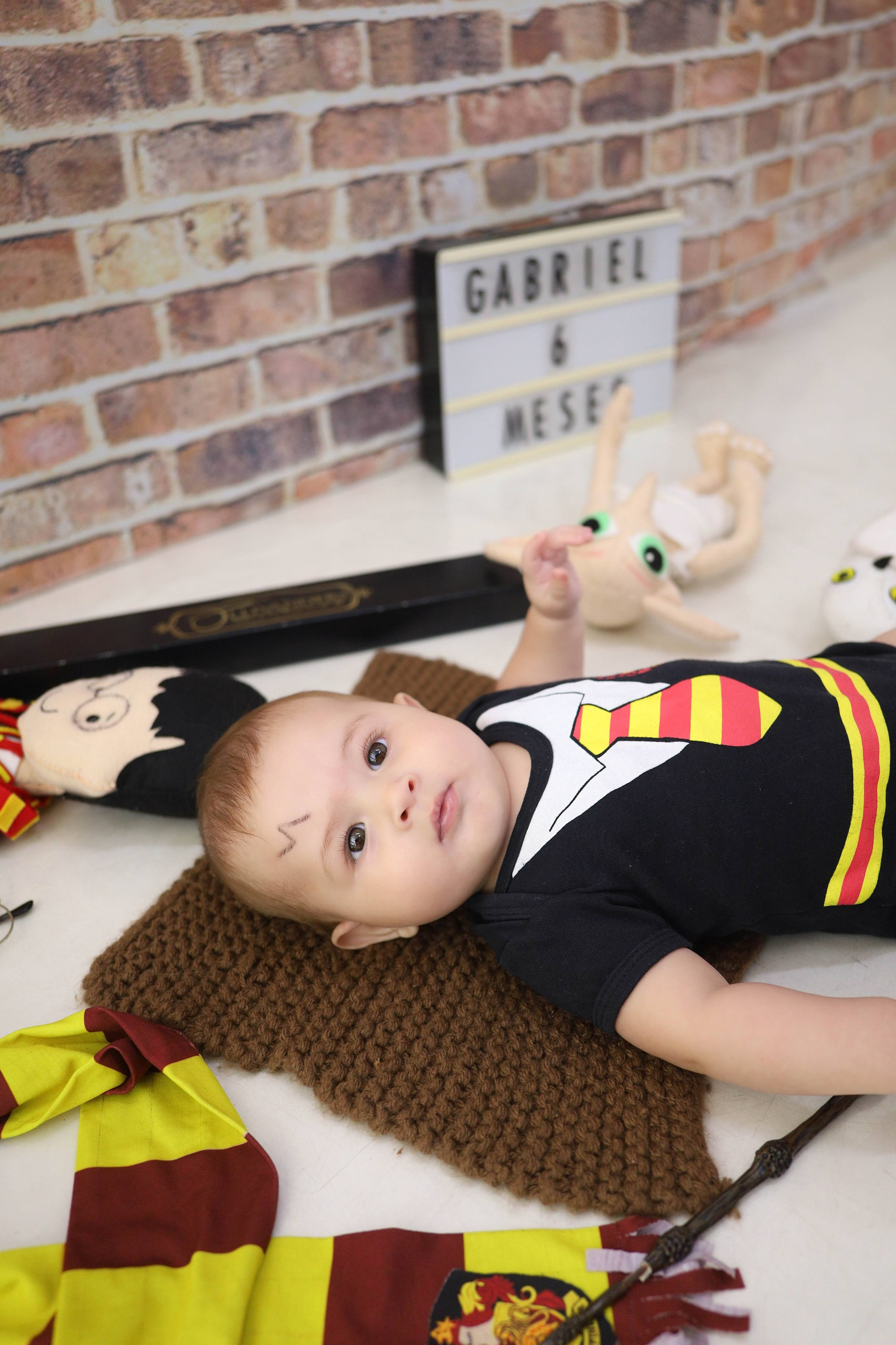 Harry Potter (6M-12M). Estúdio Gustavo Bueno
