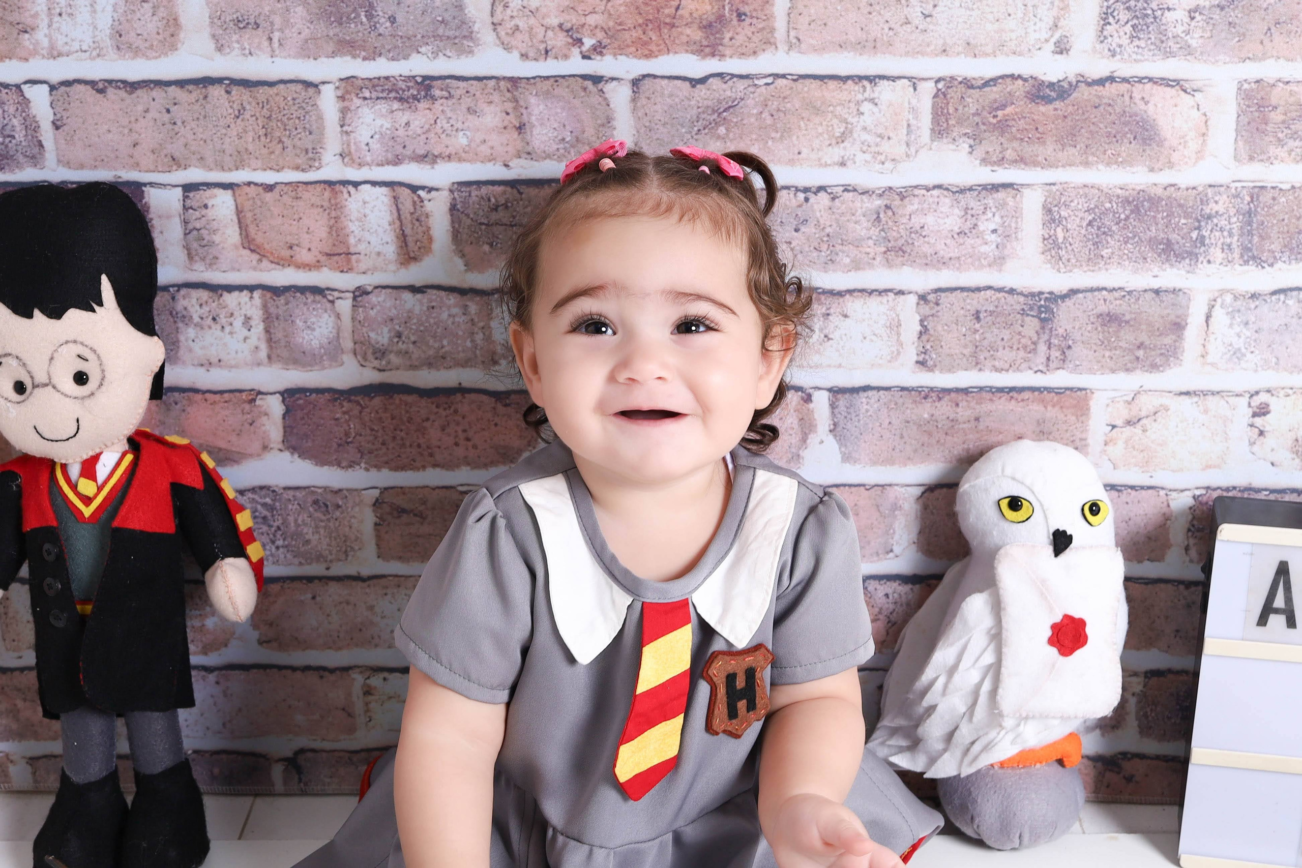 Harry Potter (7M-12M). Estúdio Gustavo Bueno