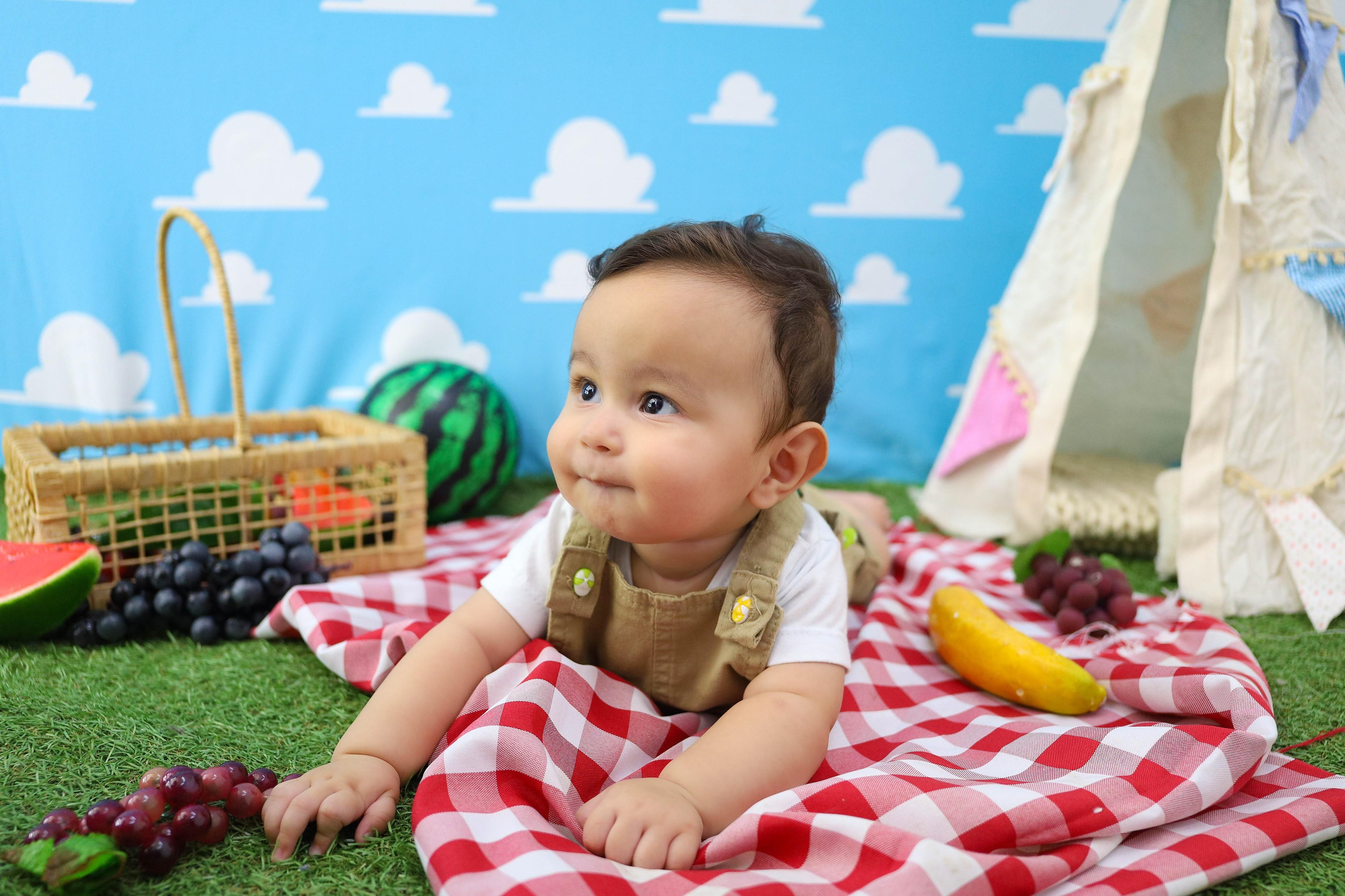 Frutinha/Picnic (6M-12M). Estúdio Gustavo Bueno