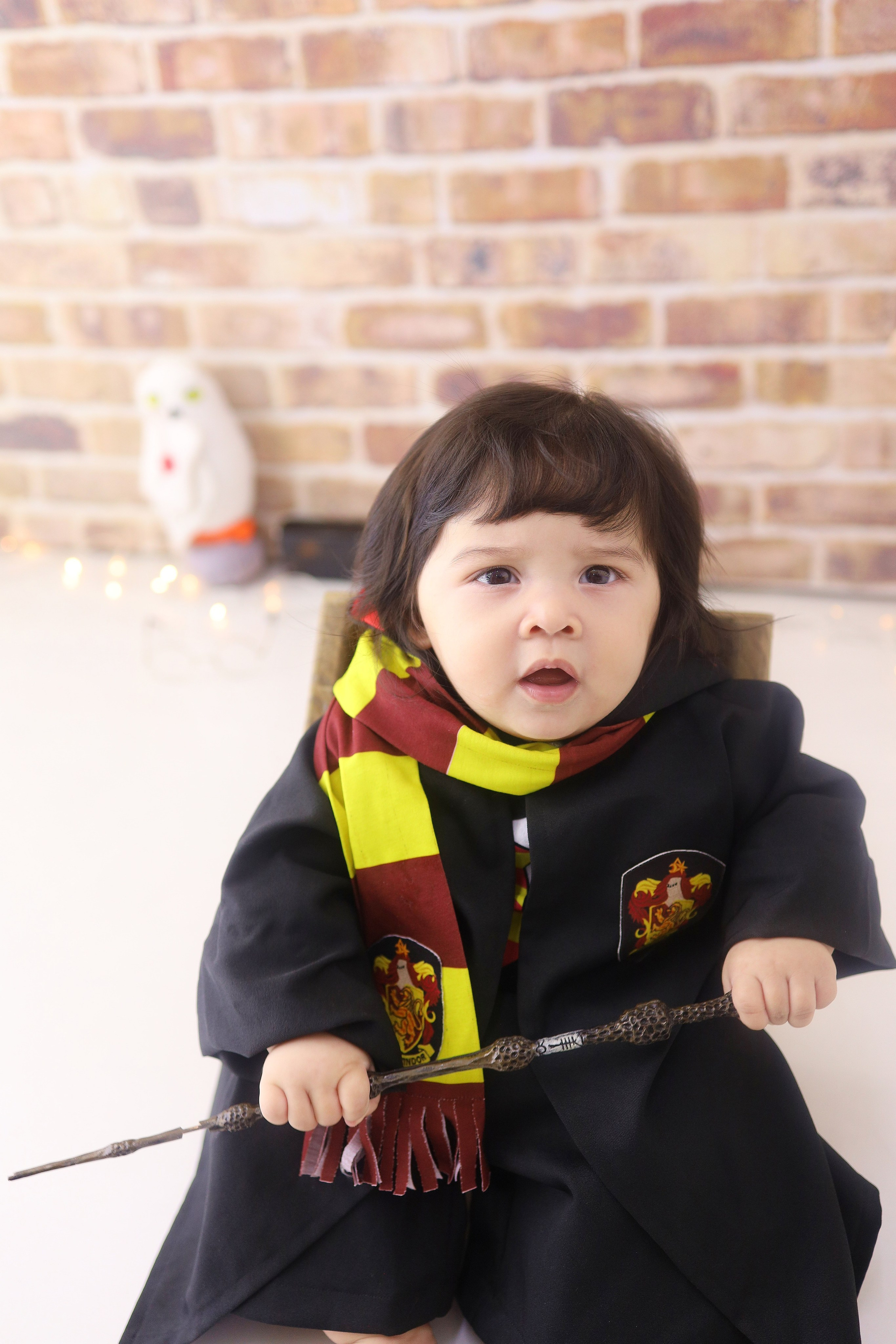 Harry Potter (6M-12M). Estúdio Gustavo Bueno