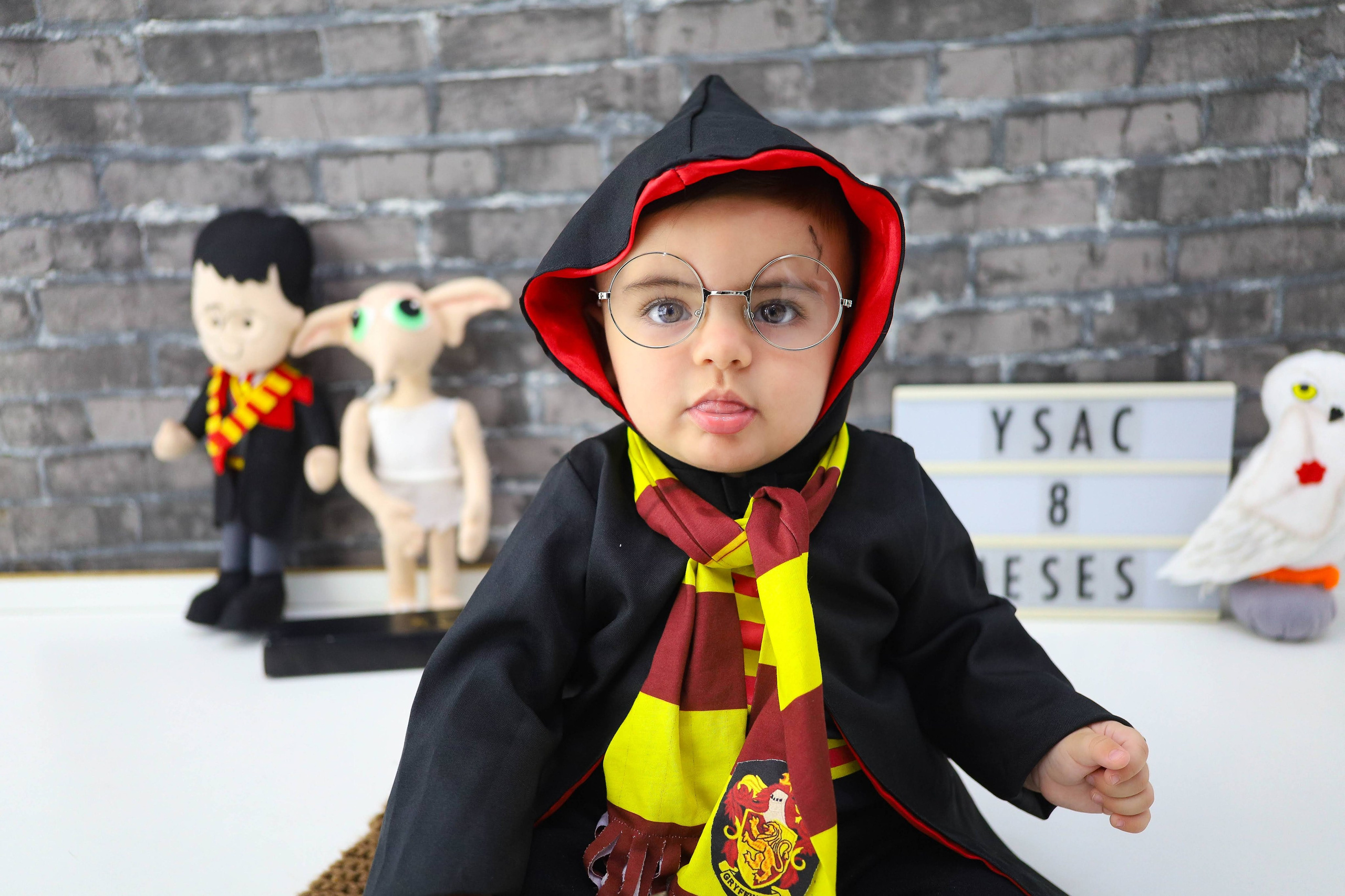 Harry Potter (6M-12M). Estúdio Gustavo Bueno