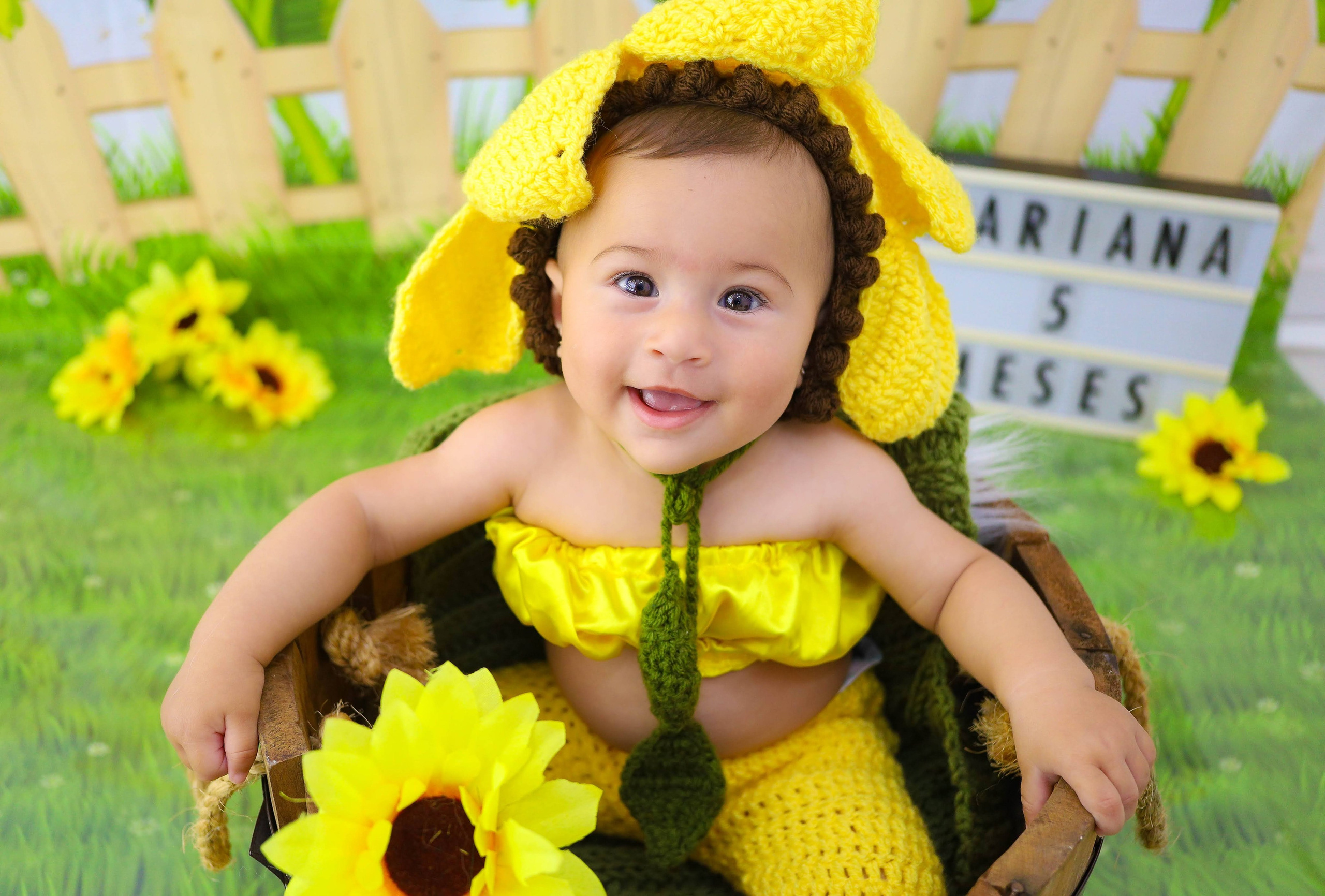 Girassol (3M-12M). Estúdio Gustavo Bueno