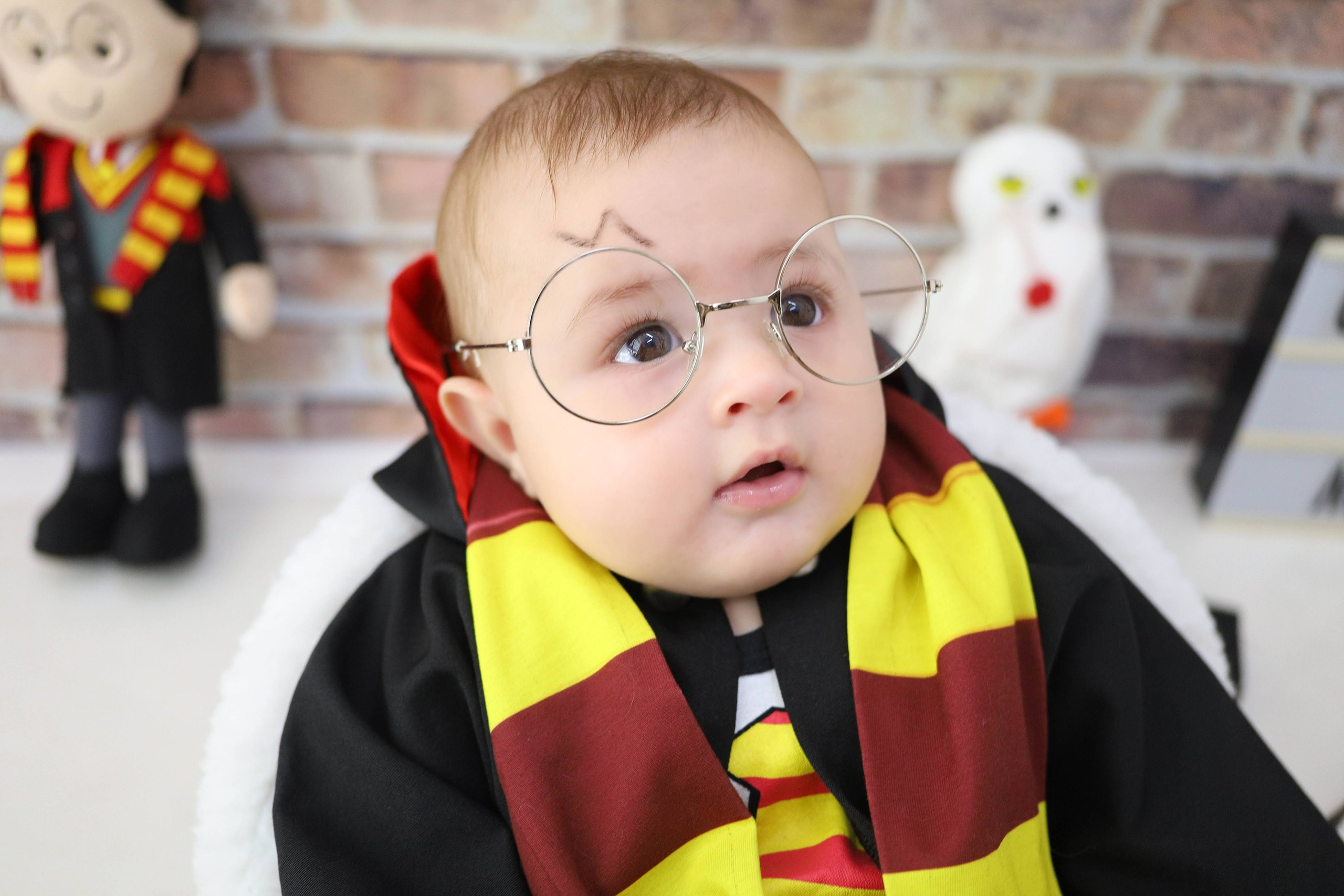 Harry Potter (6M-12M). Estúdio Gustavo Bueno