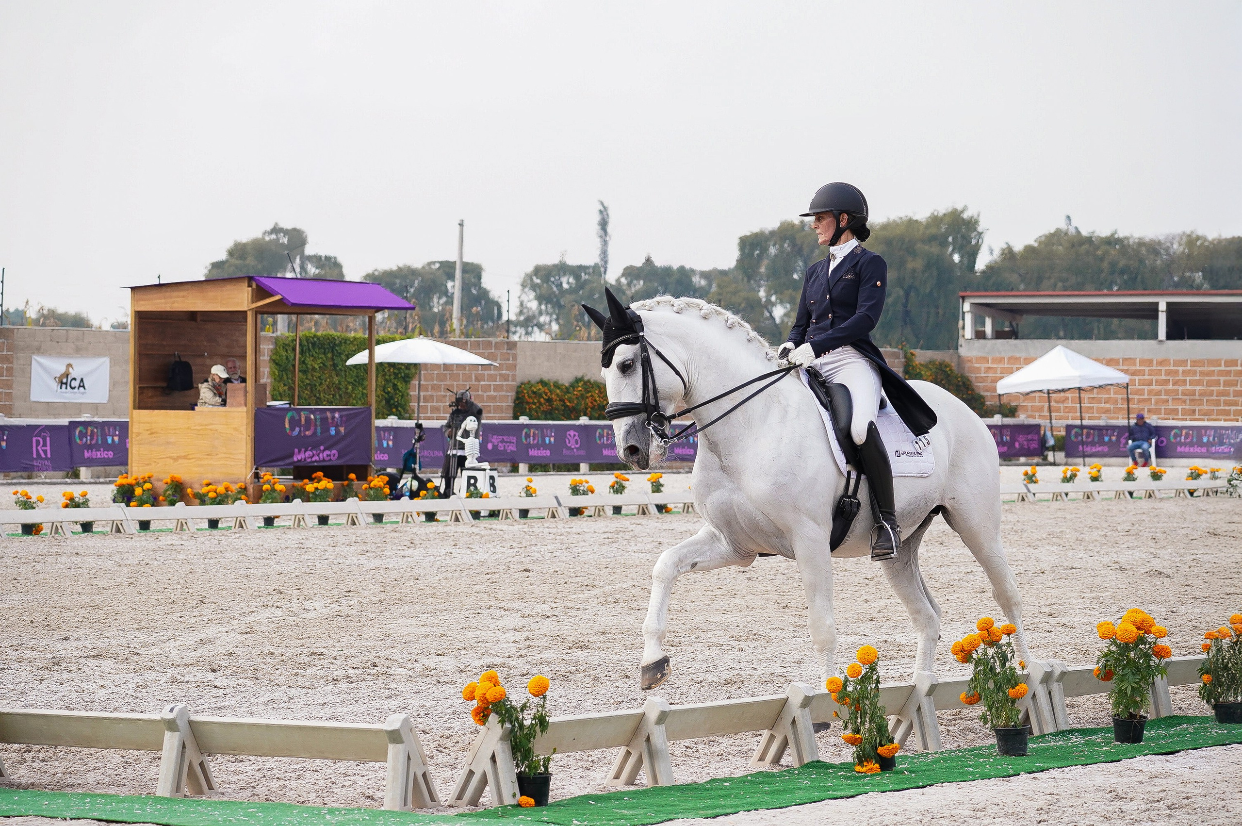 Vacation photoshoot in Mexico City. Capture your trip with a professional photographer. Horse riding dressage doma clasica show jumping Tour. Ekaterina Frolova photography