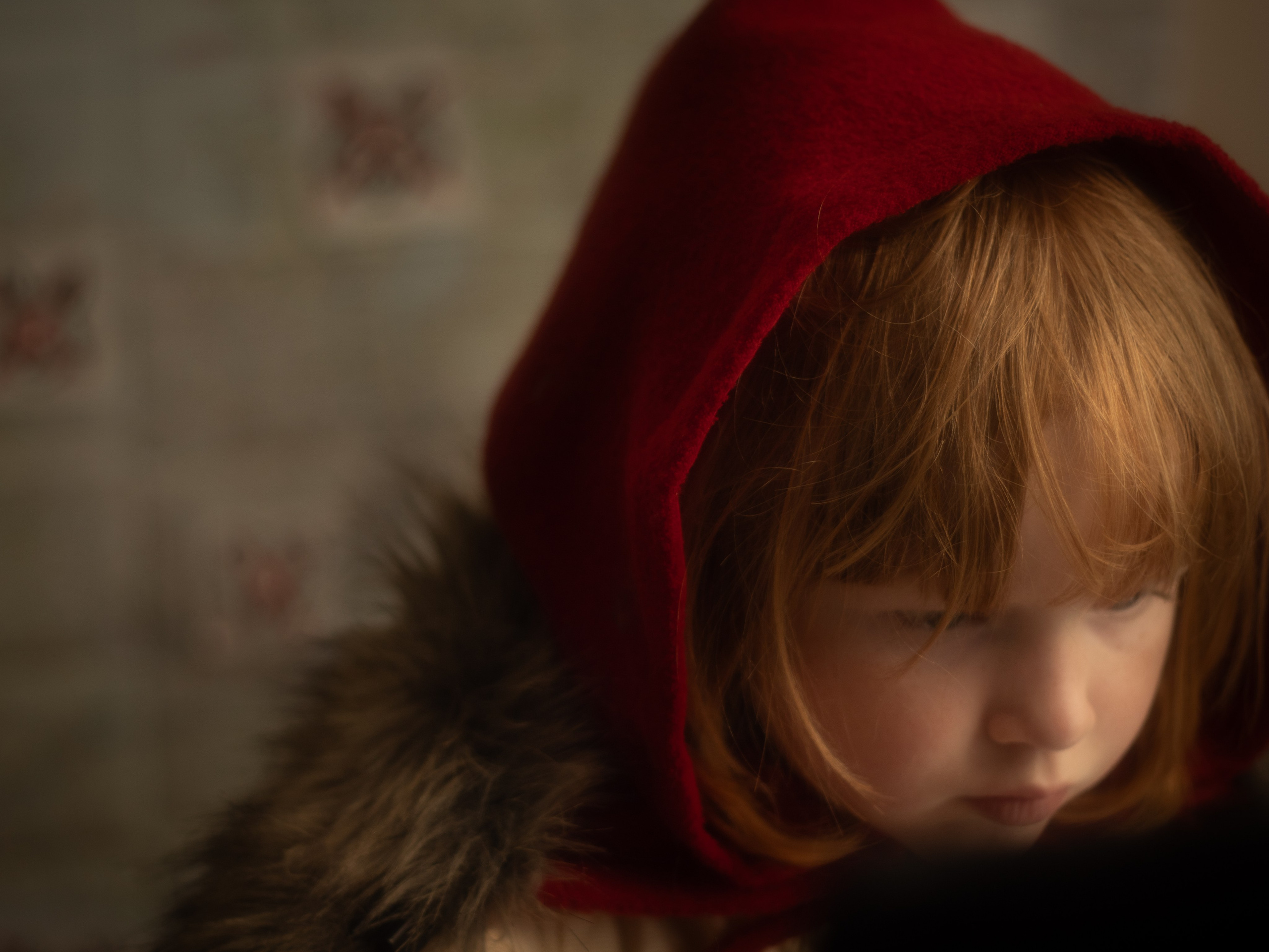 New Little Red Riding Hood. Toronto Portrait Photographer Lena Lac