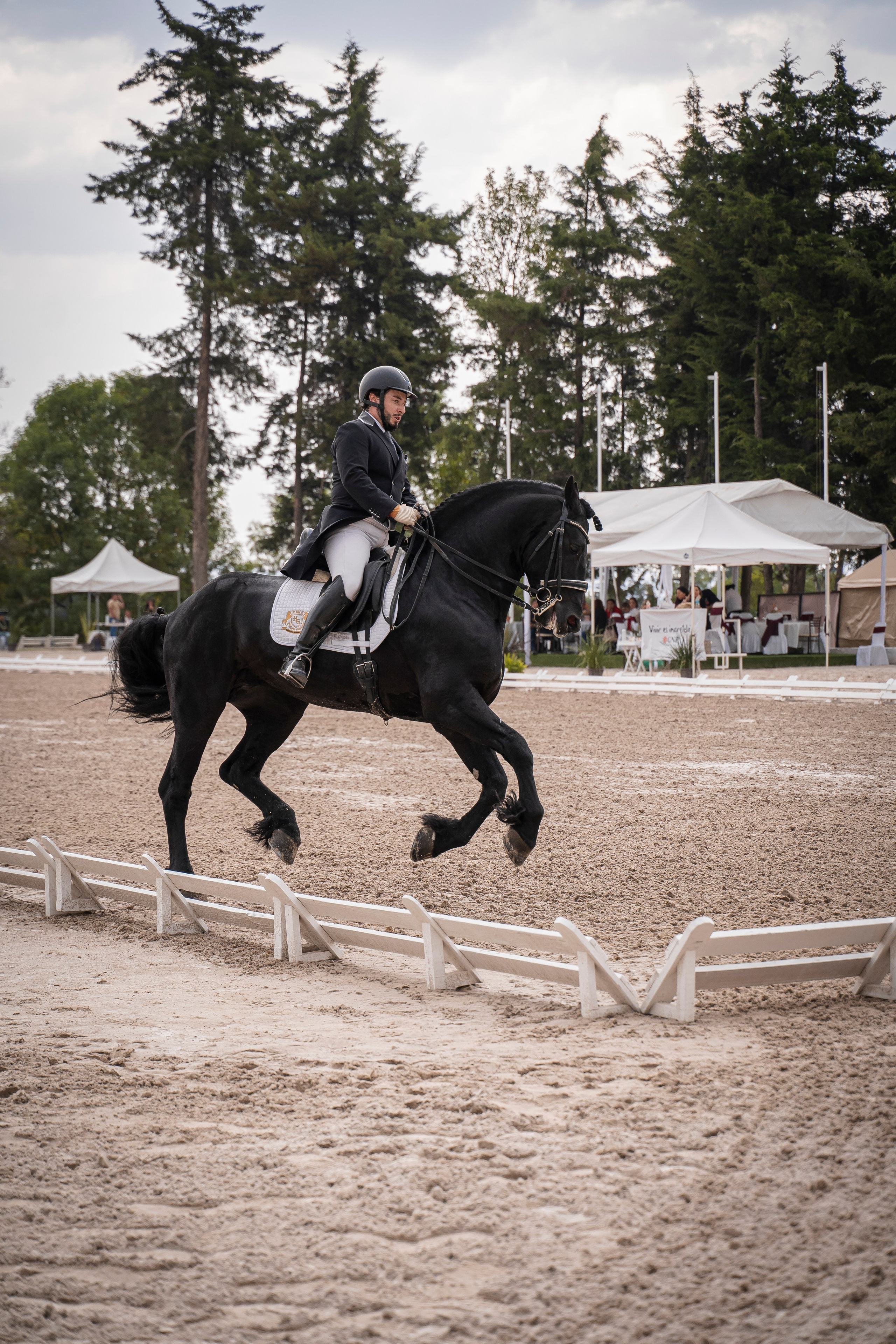 Vacation photoshoot in Mexico City. Capture your trip with a professional photographer. Horse riding dressage doma clasica show jumping Tour. Ekaterina Frolova photography