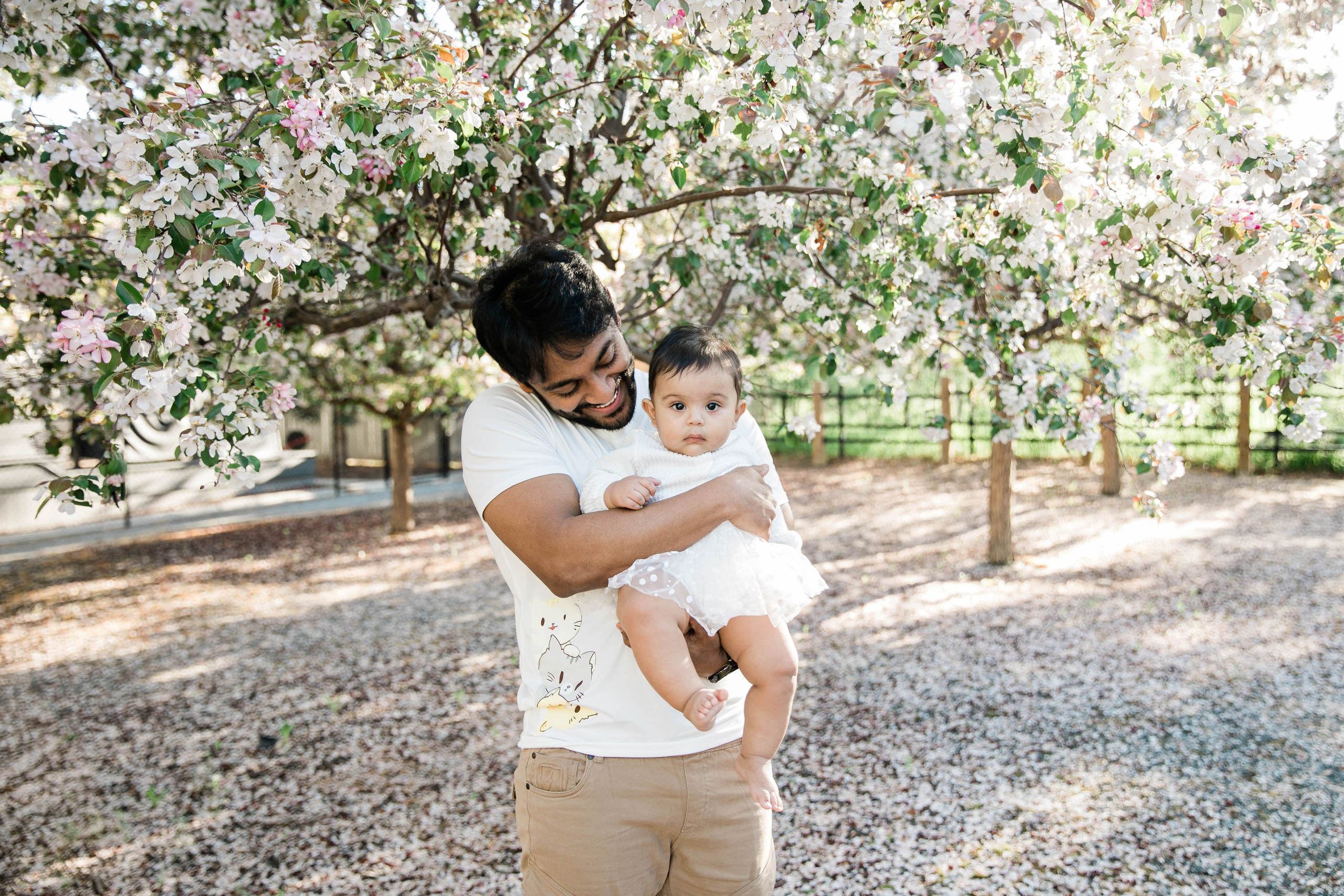 Cherry Blossom — Nabeel Family. Ching Li Photography