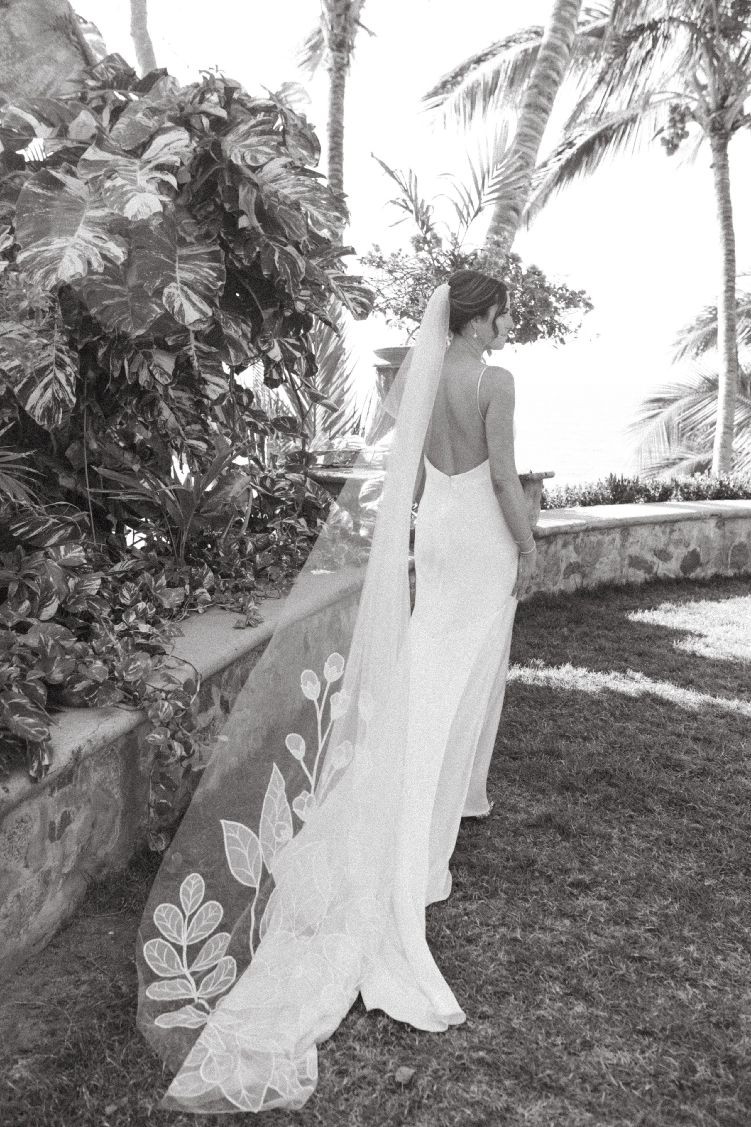 Cabo wedding photographer and videographer
