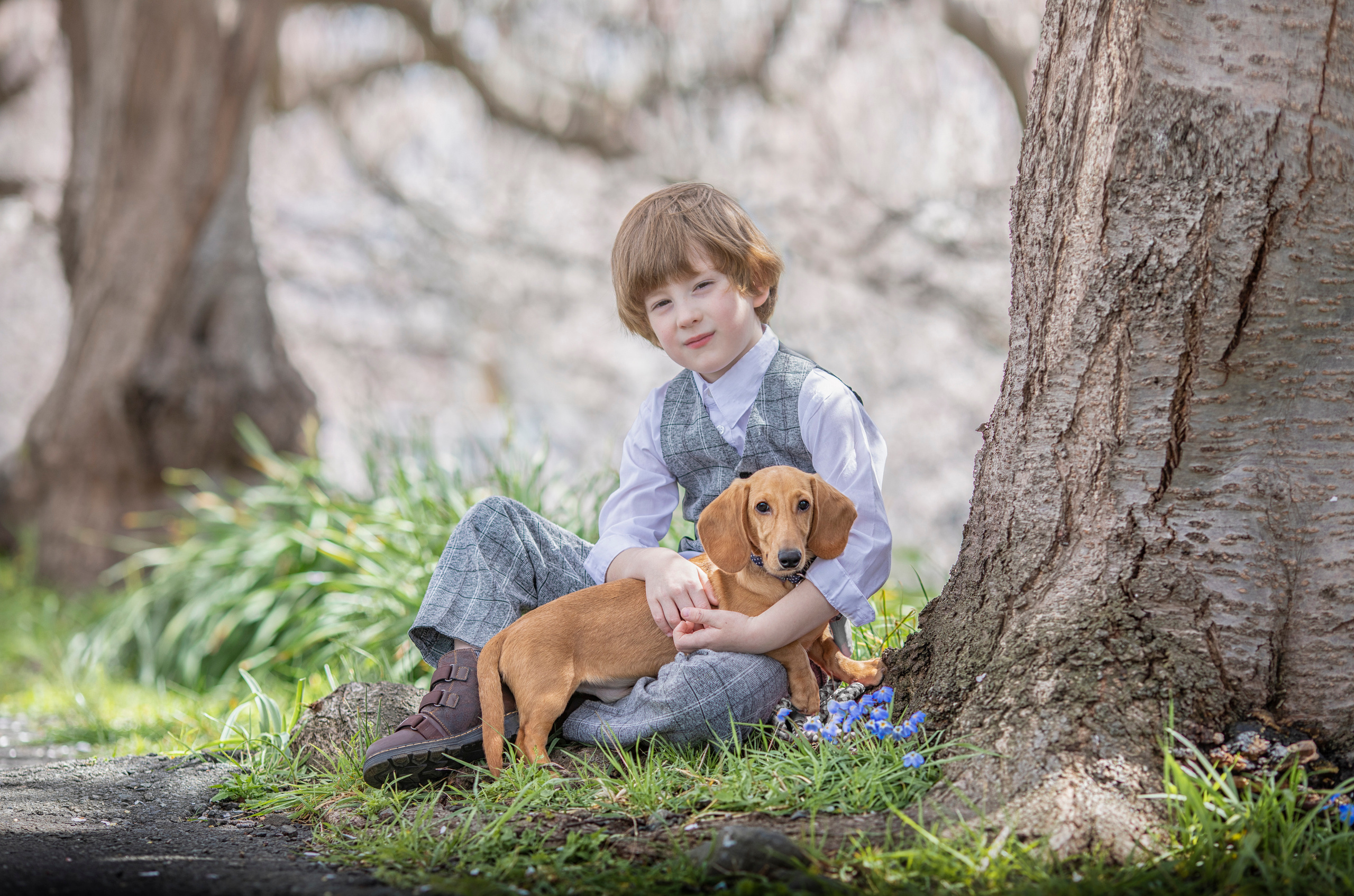 出張カメラマン　七五三　753 家族写真　家族　子供　記念写真　山梨県　東京　静岡　長野. Kids and Family Photographer in Japan　子供と家族の撮影　日本