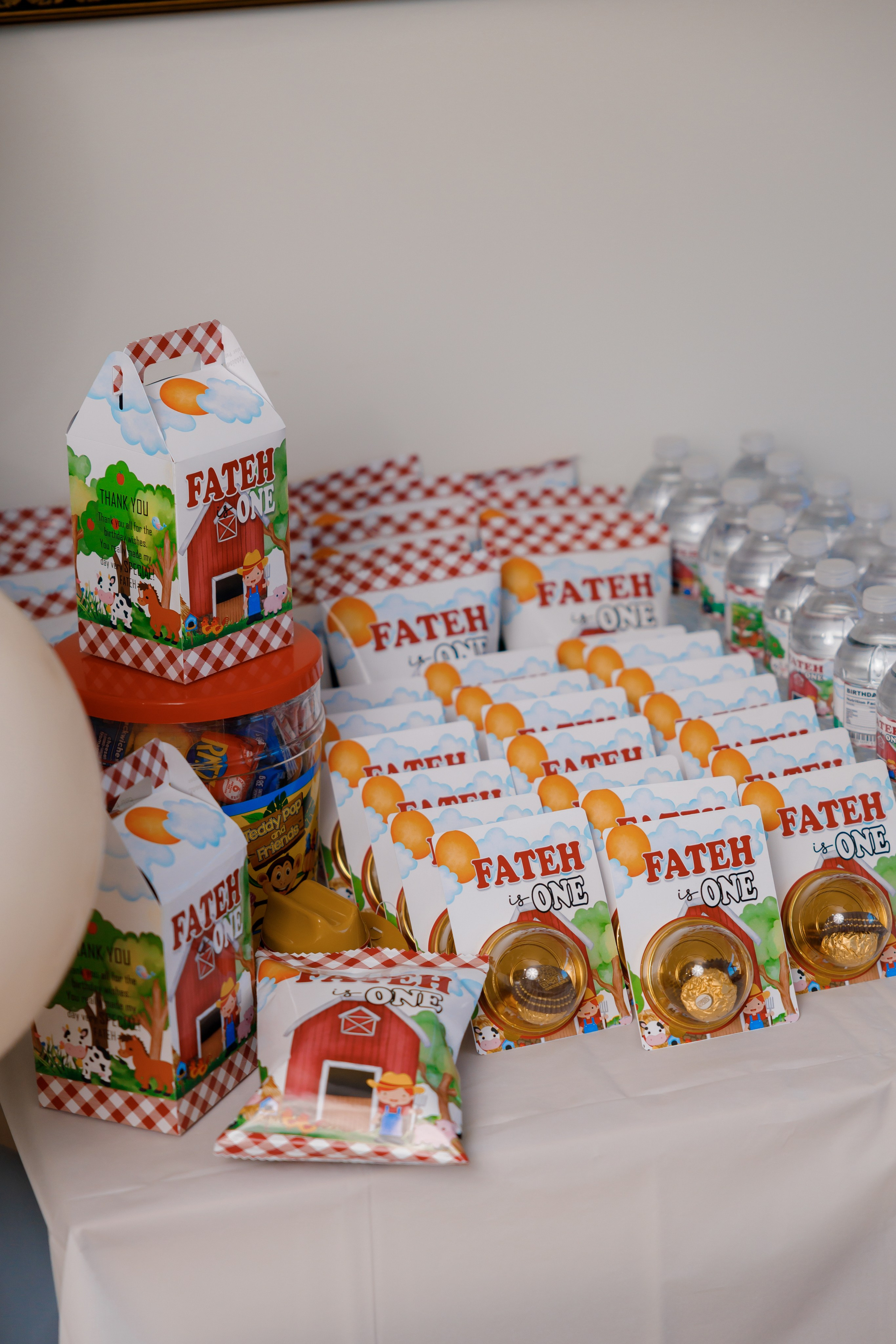 Fateh’s 1st birthday. Photographer Elvira Hryshchenko
