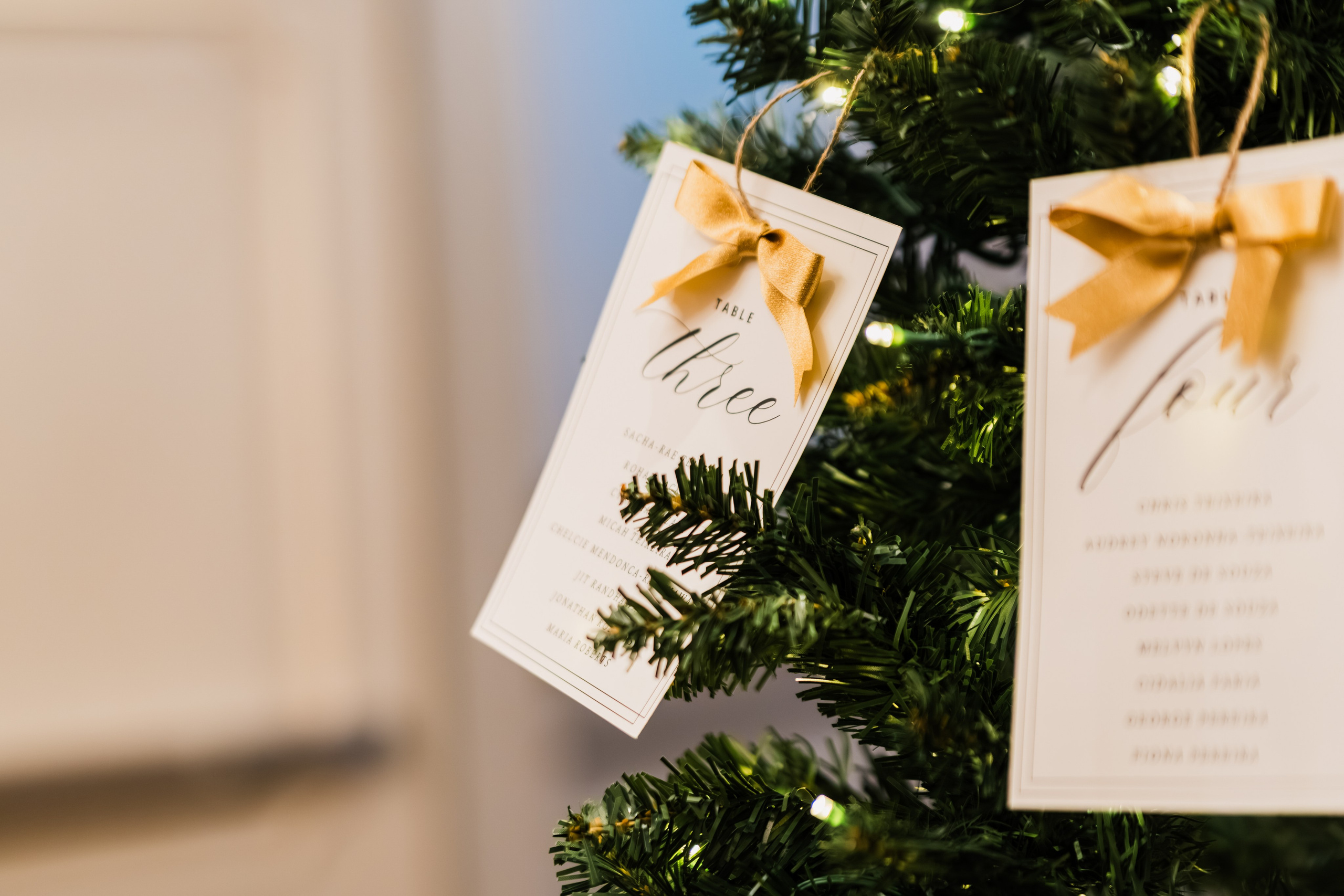 Arantxa&Devohn — Wedding story. Madhurina photography